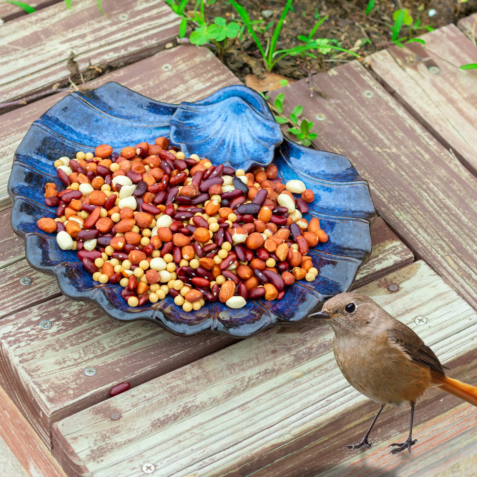 MUMTOP Ceramic Bird Bath Bowl, Small Bird Baths Garden Bird Feeder Outdoor for Birds, Bees, Butterflies, Blue