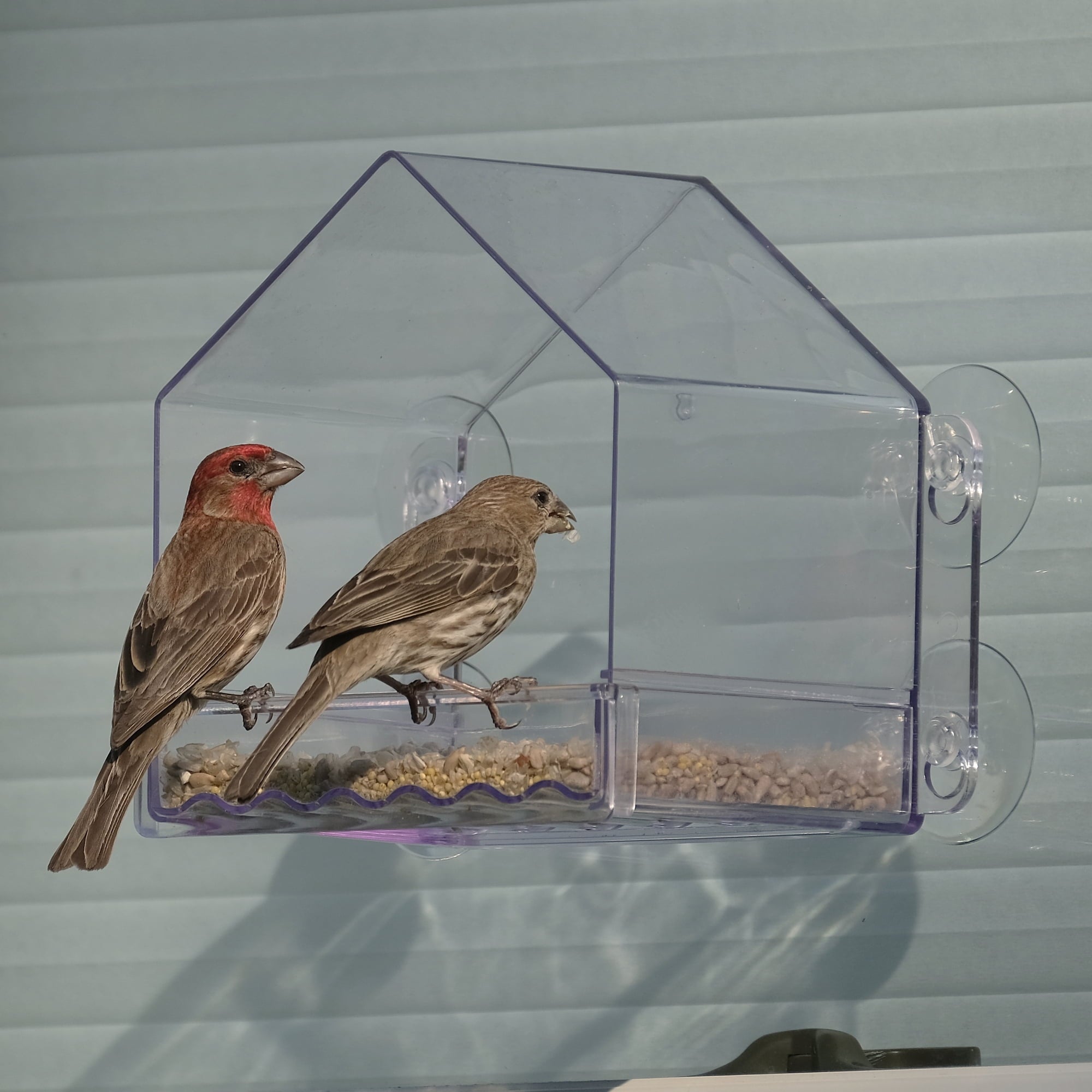 Wild Wings Clear View Plastic Window Bird Feeder 2 Cup Capacity 6.5