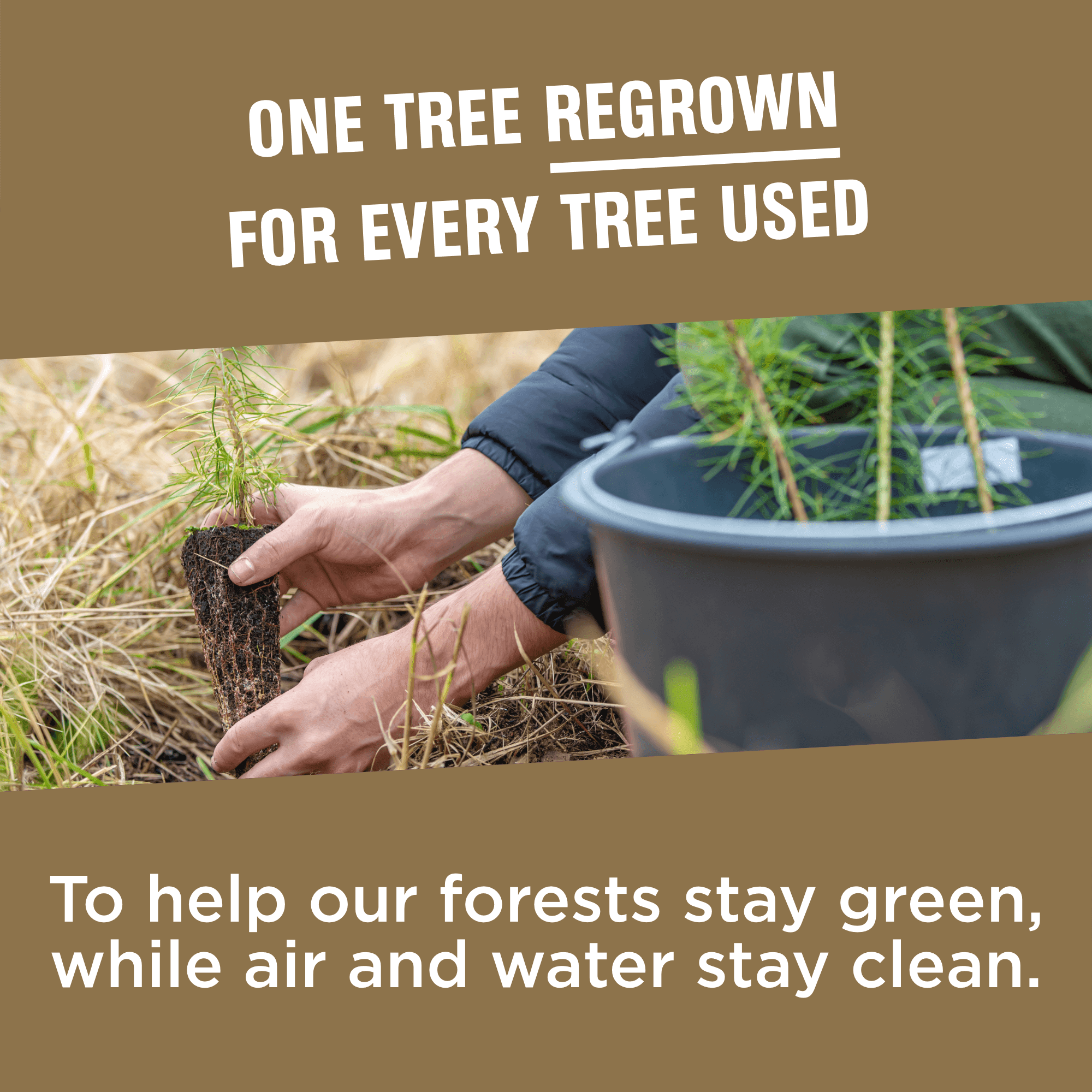 Vanity Fair Entertain Disposable Paper Napkins, White, 40 Count