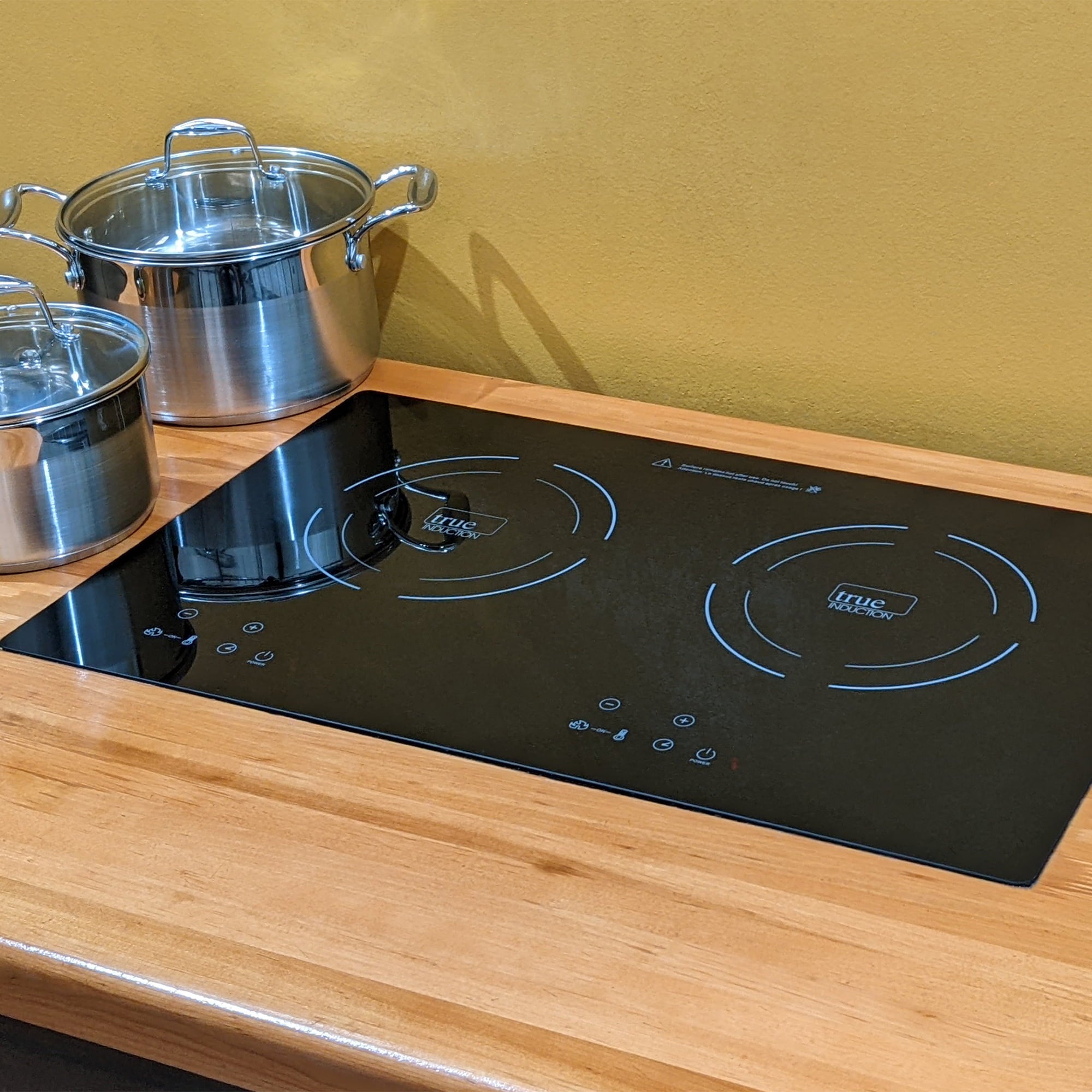 true induction ti-2b double burner cooktop- counter inset model