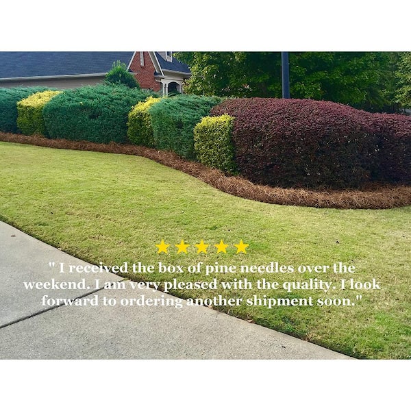 Box of 240 Sq.ft. Long Needle Pine Straw Mulch