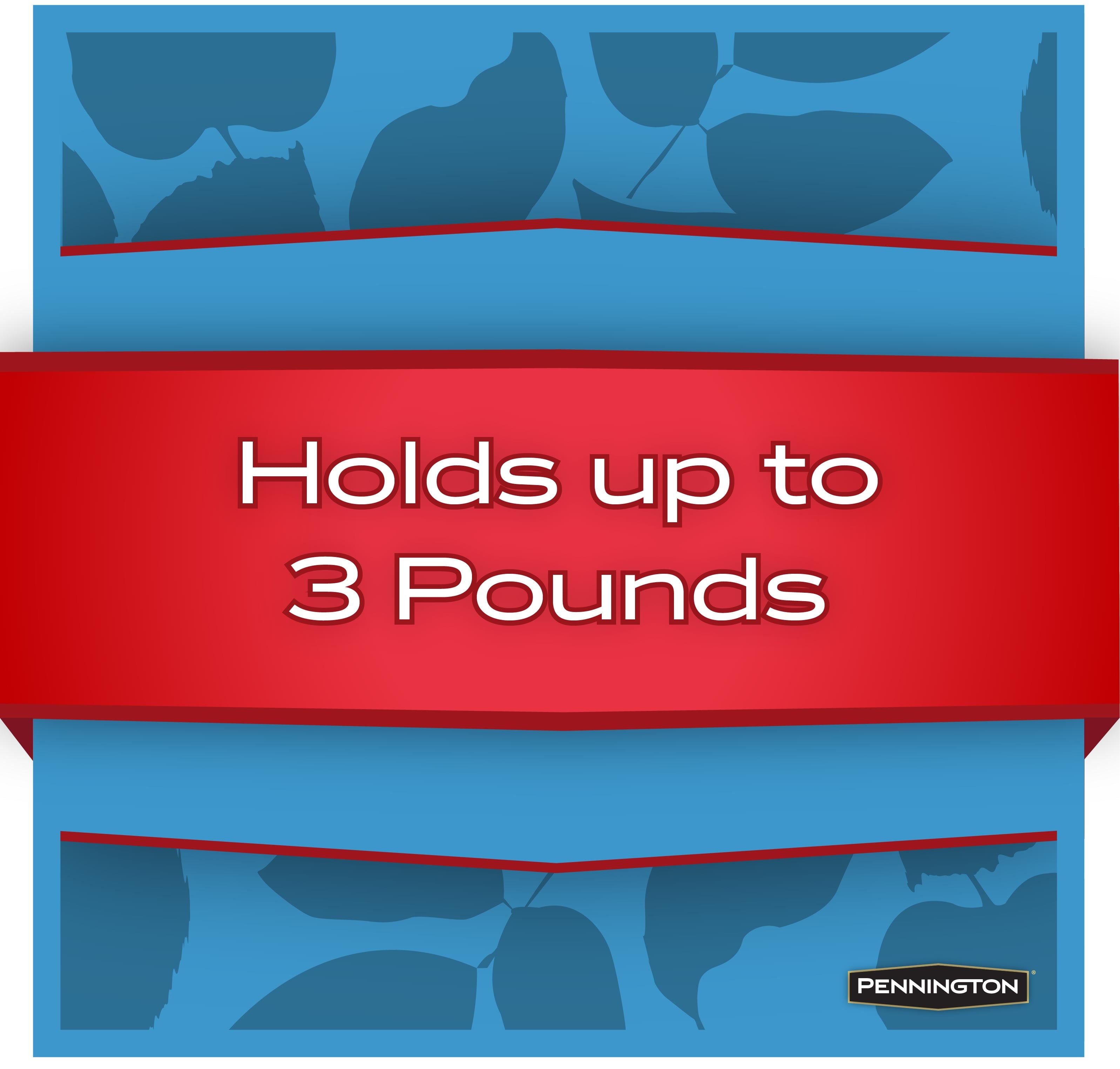 Pennington Cedar Gazebo Wild Bird Feeder, 3 lb. Hopper Capacity