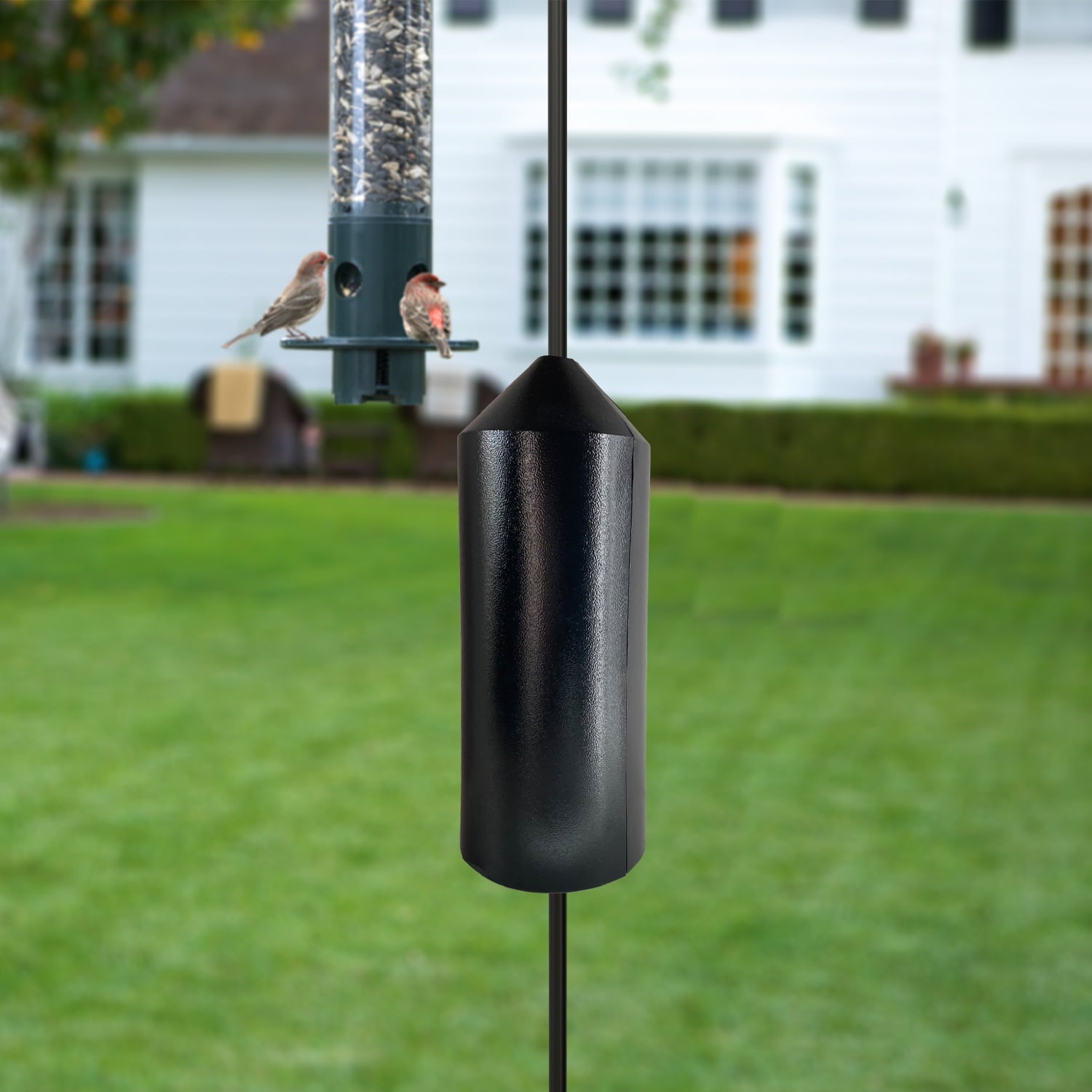 Panacea Products Metal, Pole Mount 15