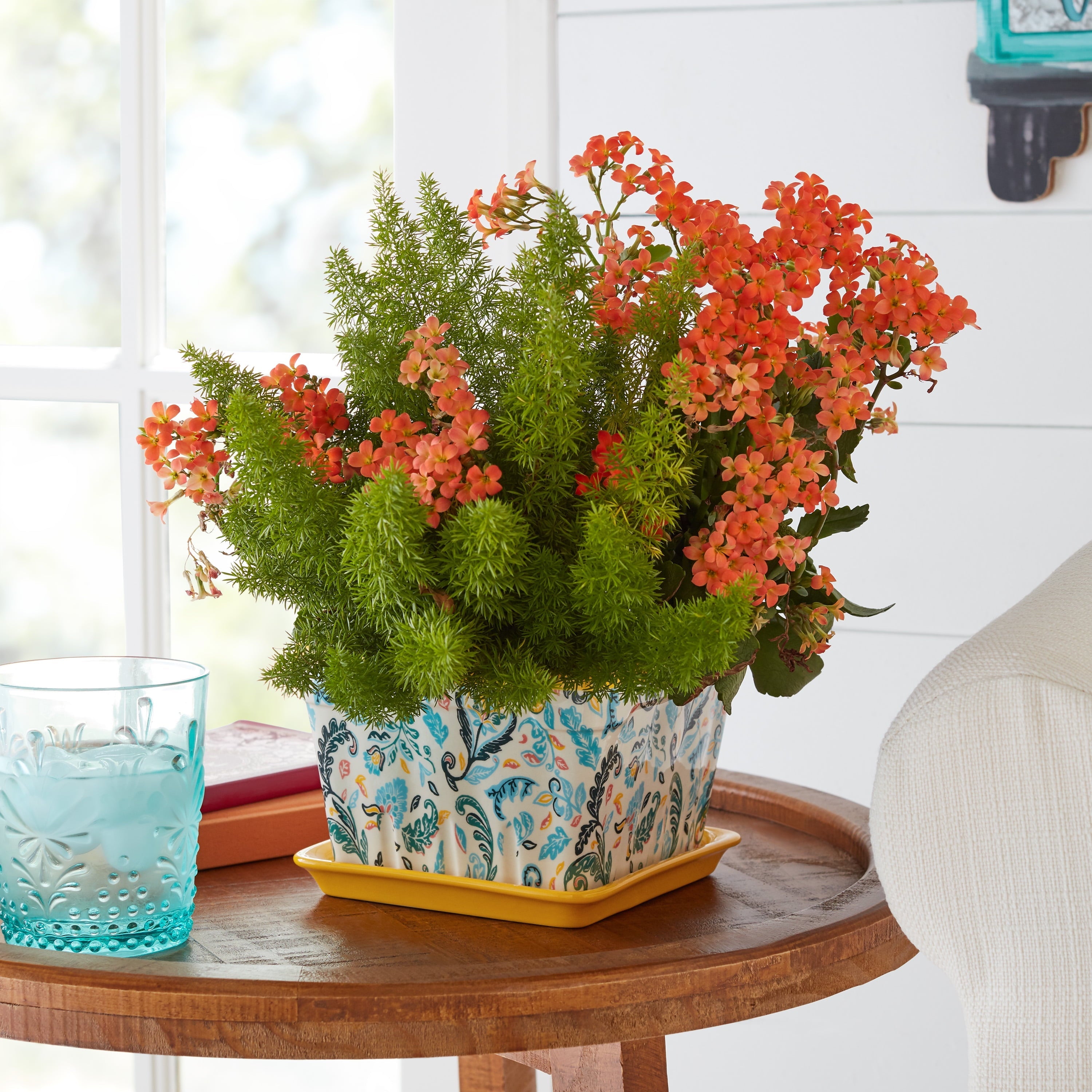 The Pioneer Woman Mazie Toss 6