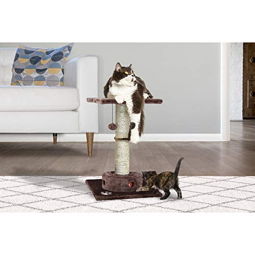 FurHaven Pet Products Cat Playground Scratching Post Furniture with Cat-IQ Busy Box - Brown, 22.5