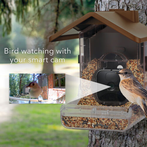 Wasserstein Bird Feeder Smart Camera Case Compatible with Ring, Blink & Wyze Cam