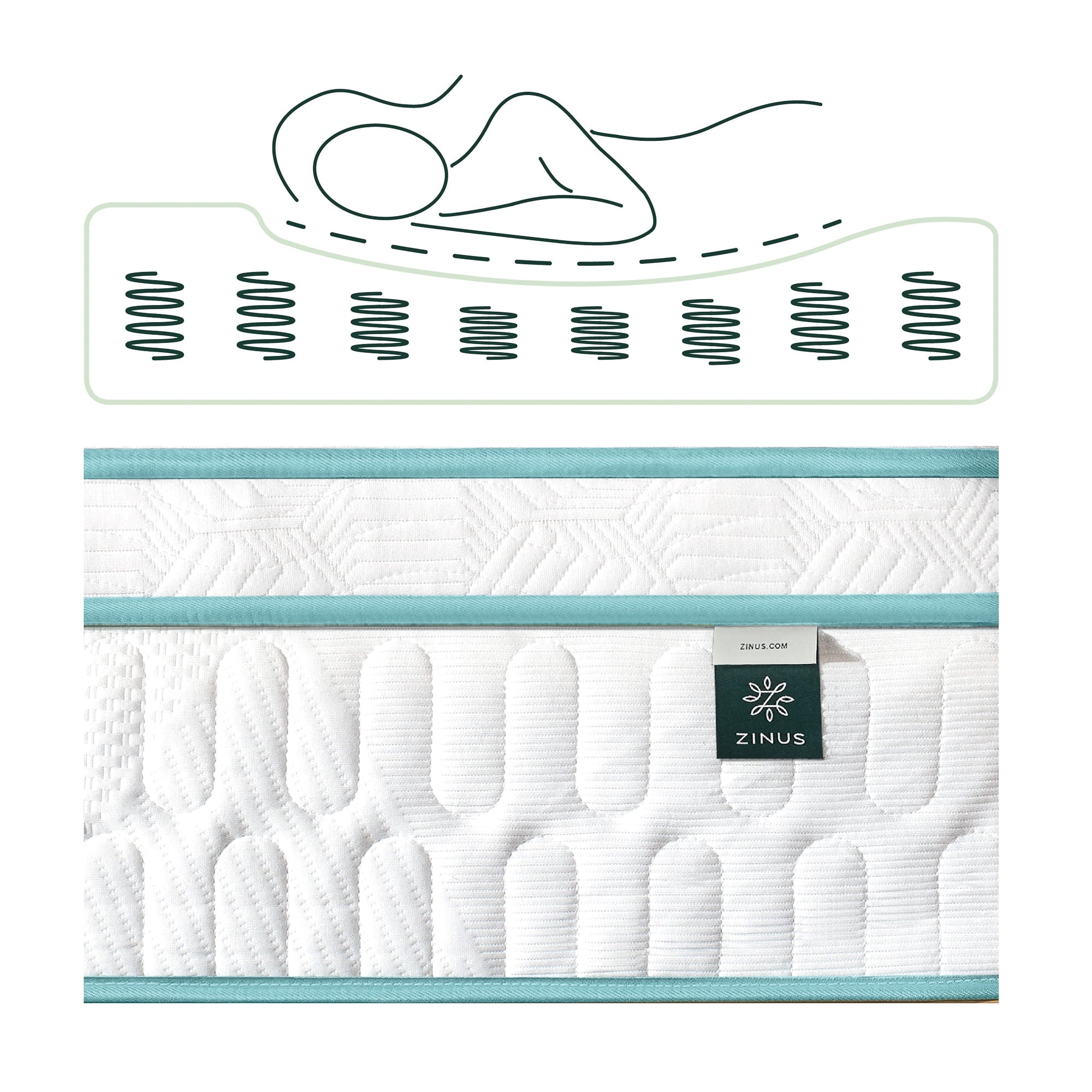 Green Tea Infused Euro Top 12