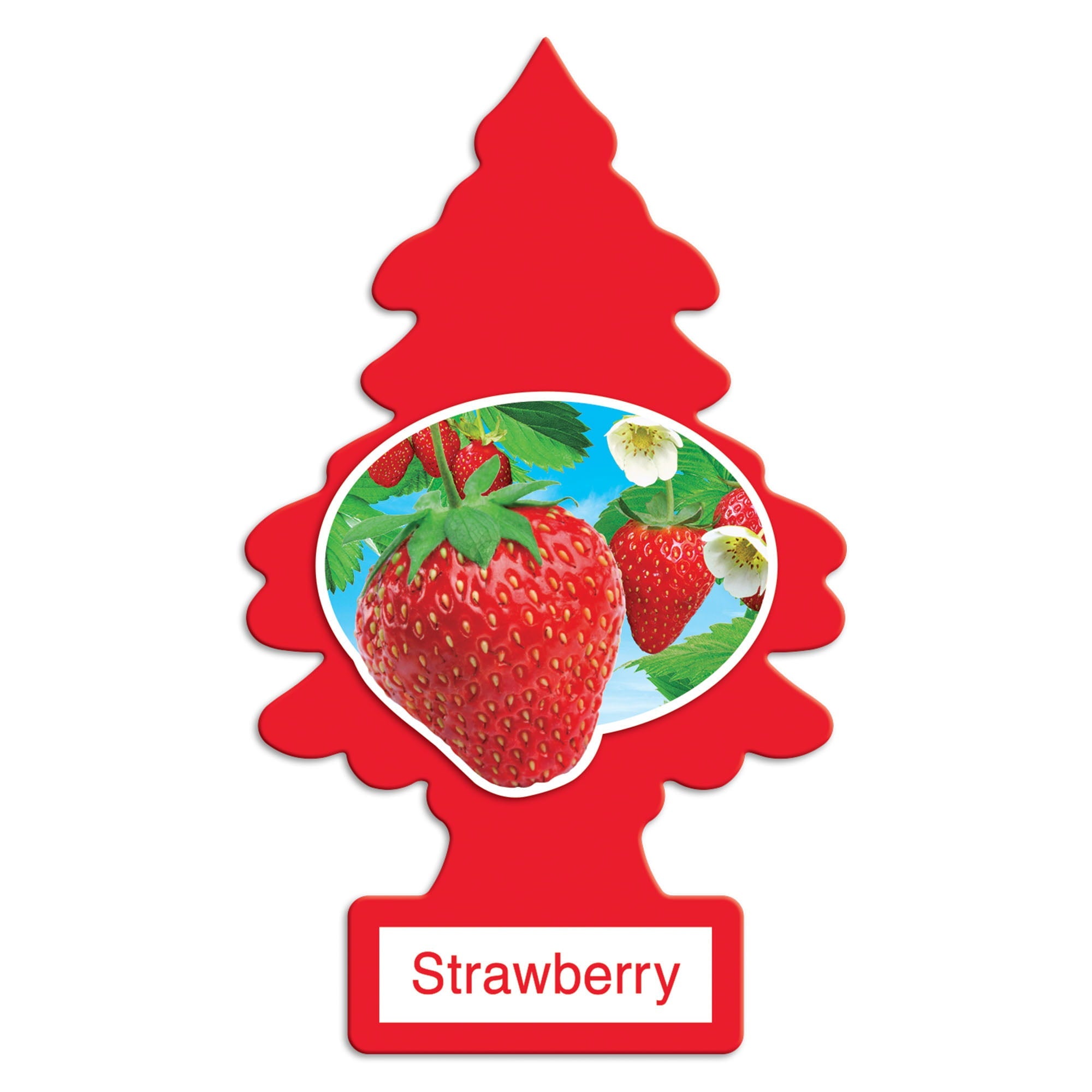 Little Trees Air Fresheners Strawberry Fragrance 3-Pack