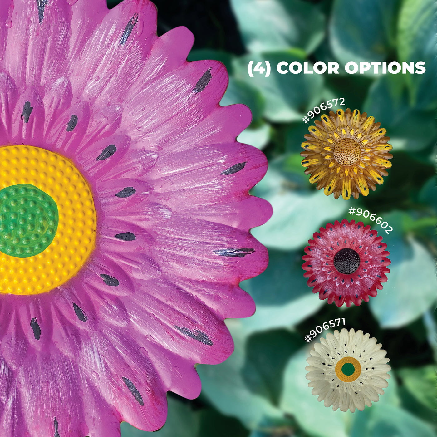 Backyard Expressions 24