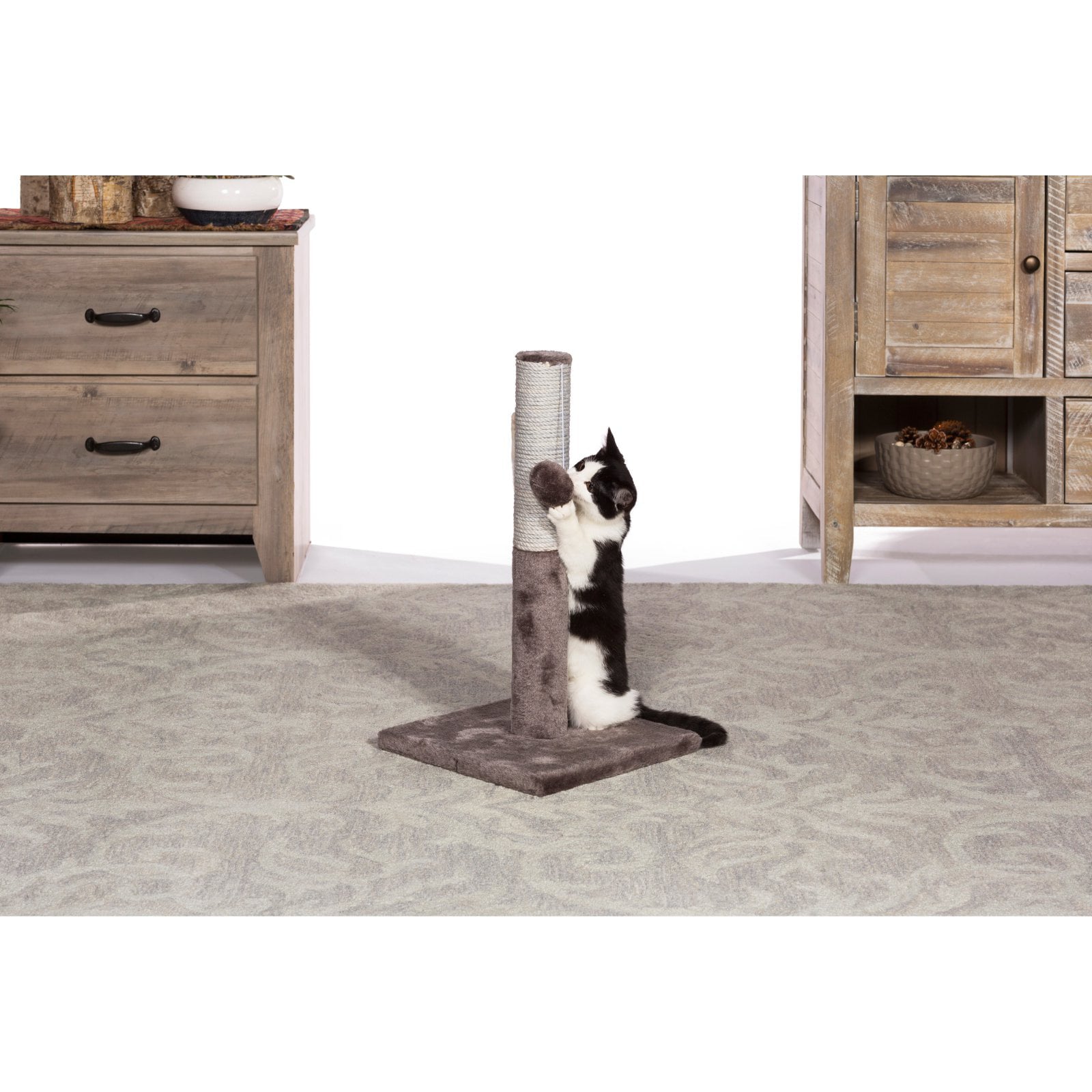 Prevue Pet Products Kitty Power Paws Play & Scratch 7151