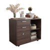 Hassch Mobile Lateral Filing Cabinet Office Wood File Cabinet with Coded Lock Printer Stand with Storage Open Shelves, Brown Oak