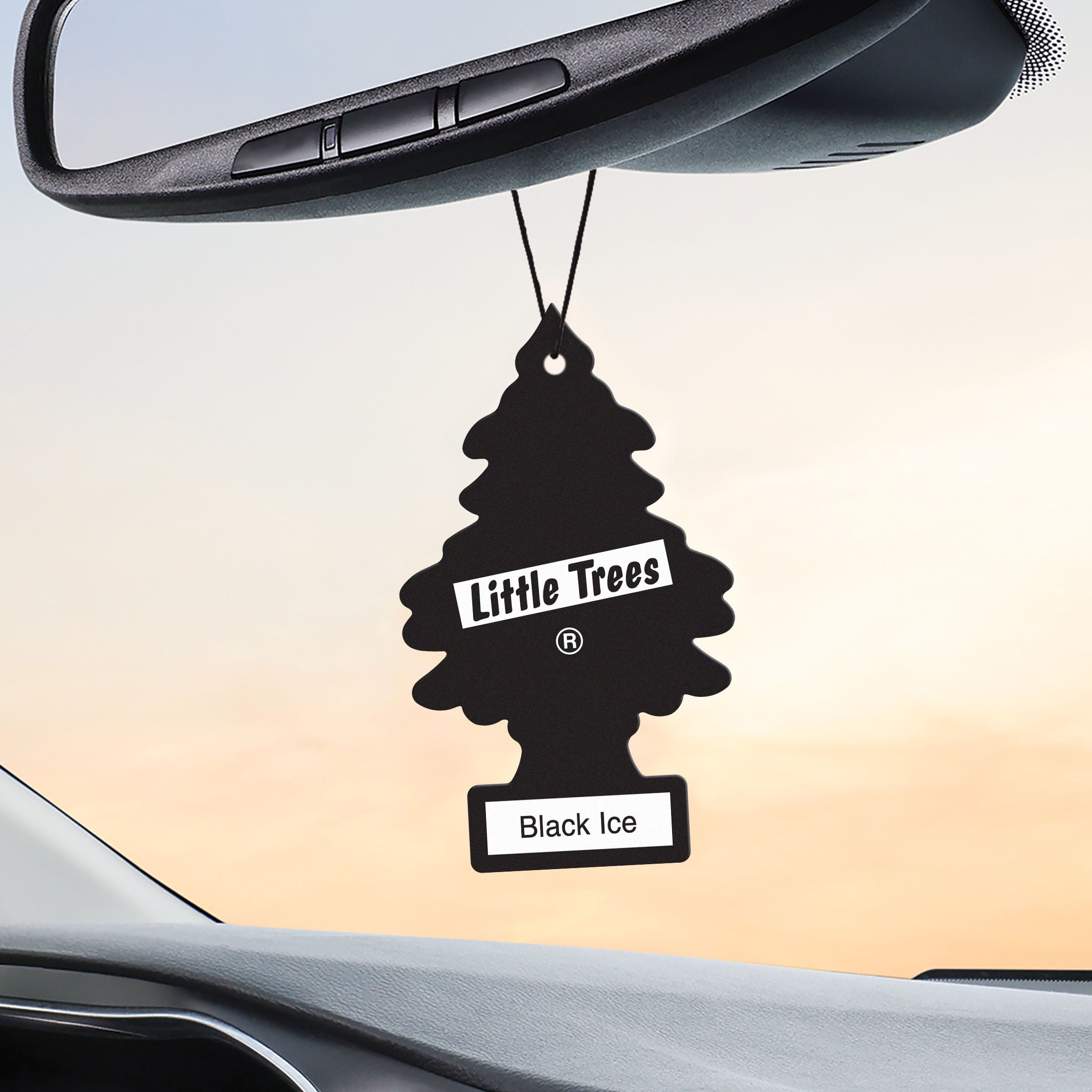 Little Trees Air Freshener Black Ice Fragrance 6-Pack