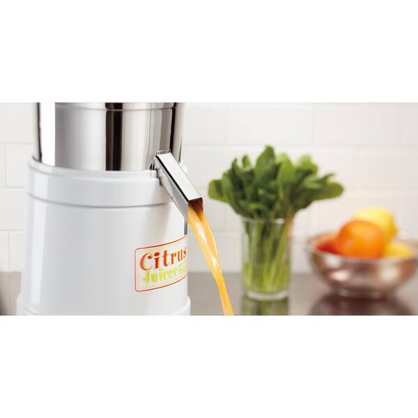 Heavy-Duty Citrus Juicer with Dome