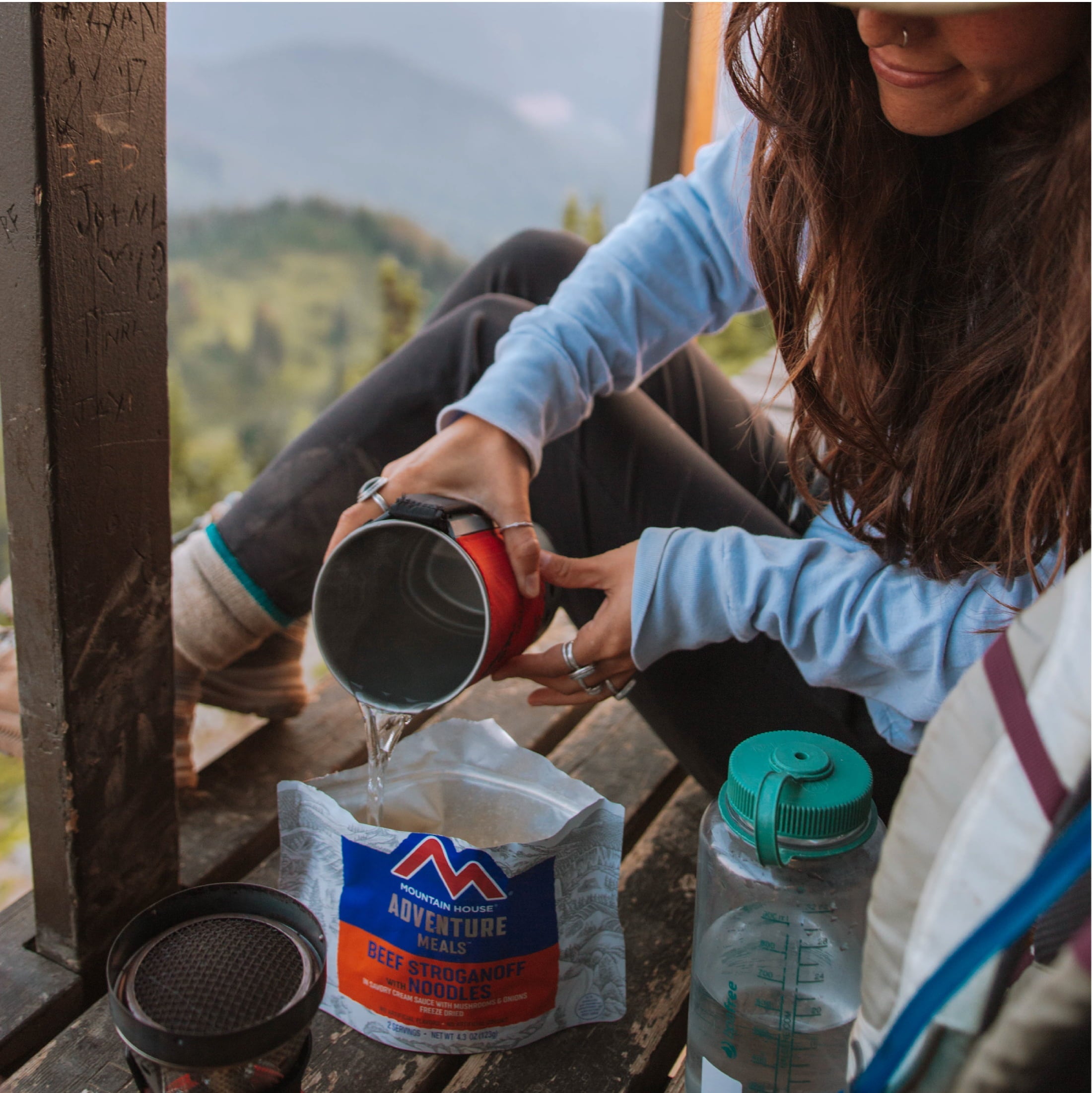 Mountain House Beef Stroganoff w/Noodles, Freeze-Dried Food, 2 Servings