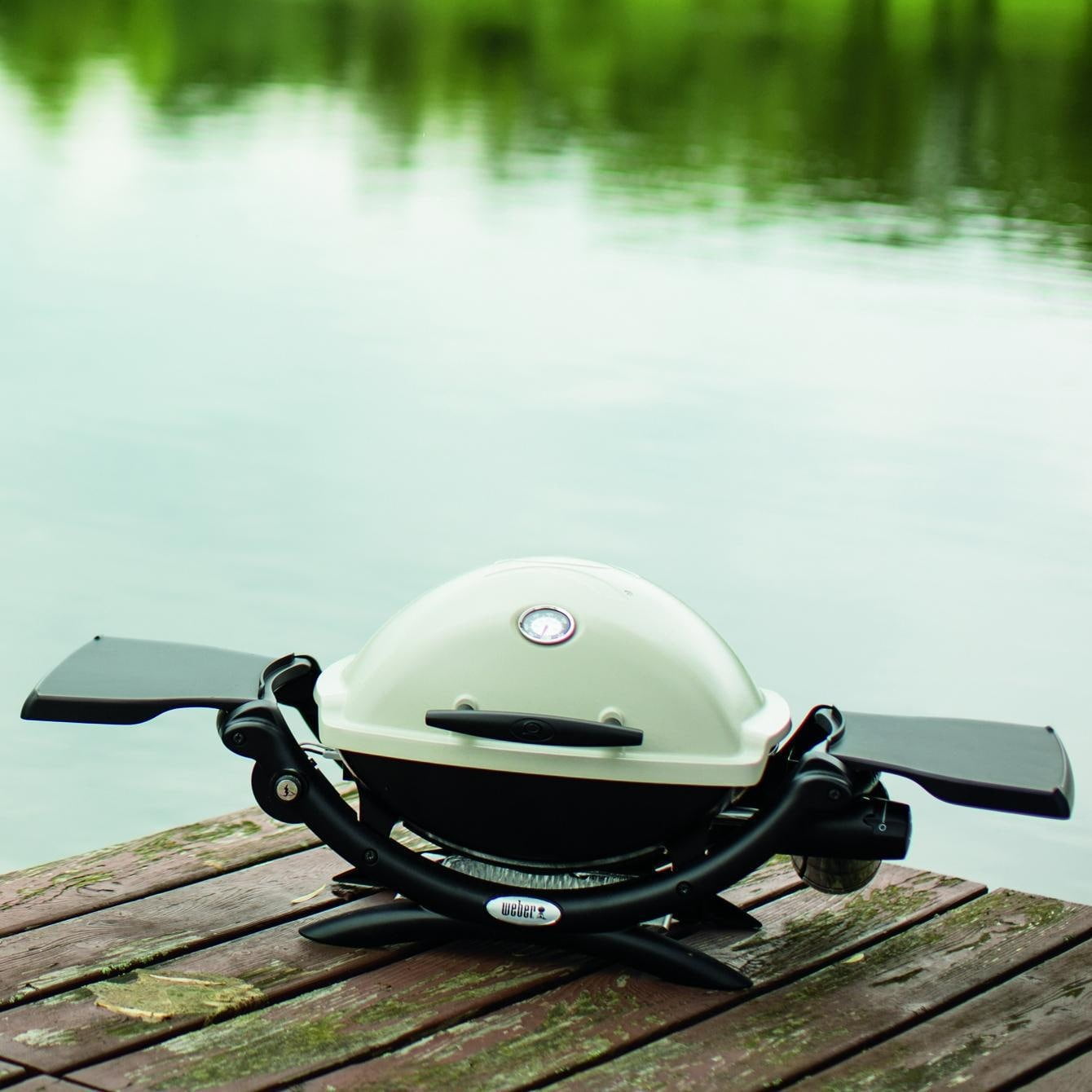 Weber Q1200 Portable Gas Grill