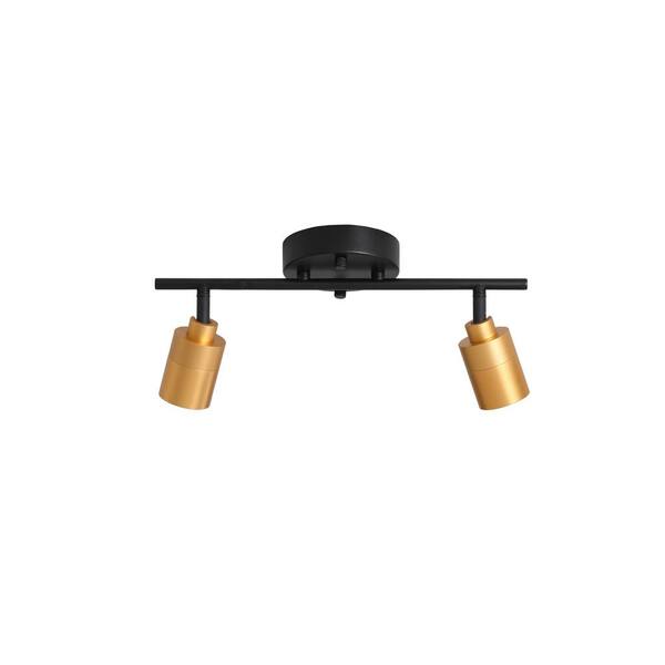 Modern 1 ft. 2 Head-Light, Gold, Integrated LED Fixed Track, Lighting Kit with Rotating Heads
