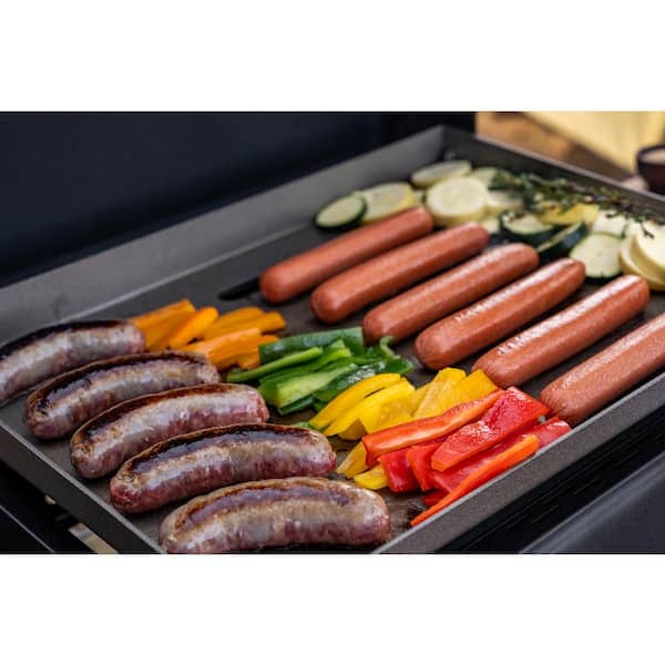 Daytona 2-Burner 21 in. Propane Gas Griddle with Foldable Cart in Black