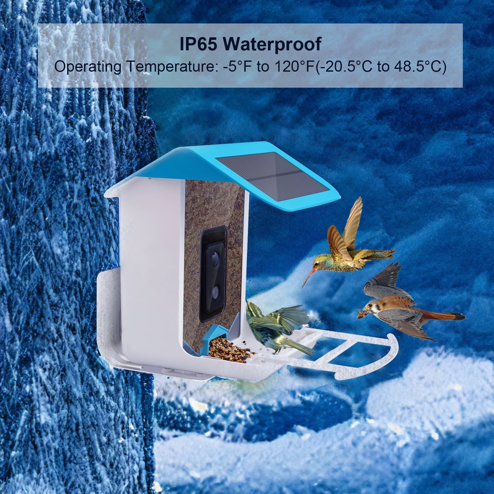 Bird Feeder with Camera,YBLOC Bird House,AI Smart Bird Feeder,Camera 1080P HD Video,AI Identify Bird,Wifi ,Blue