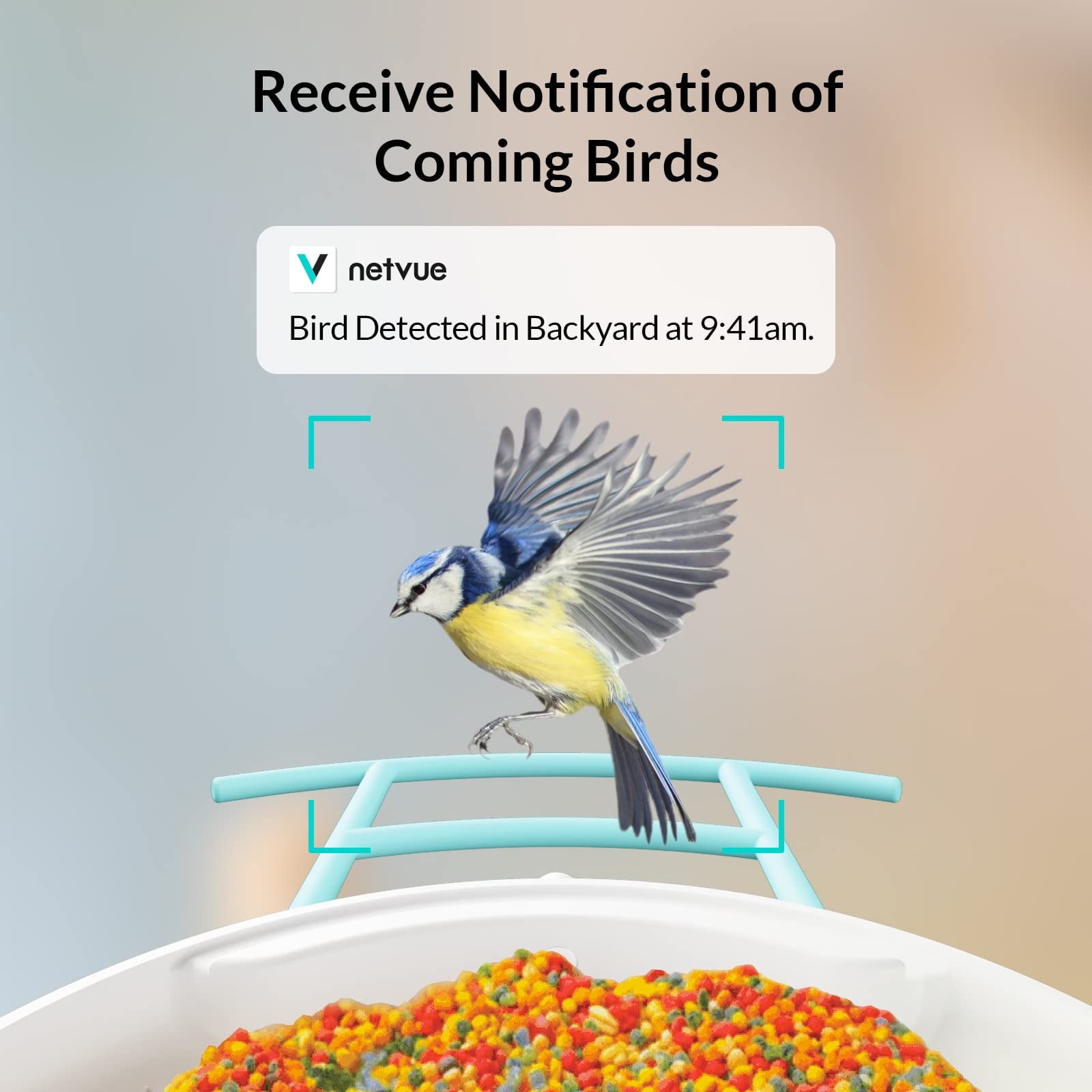 Smart Bird Feeder Camera with Solar Panel, NETVUE Birdfy Bird Watcher Cameras Wireless Camera for Bird Lover, Blue (Lite+Solar)