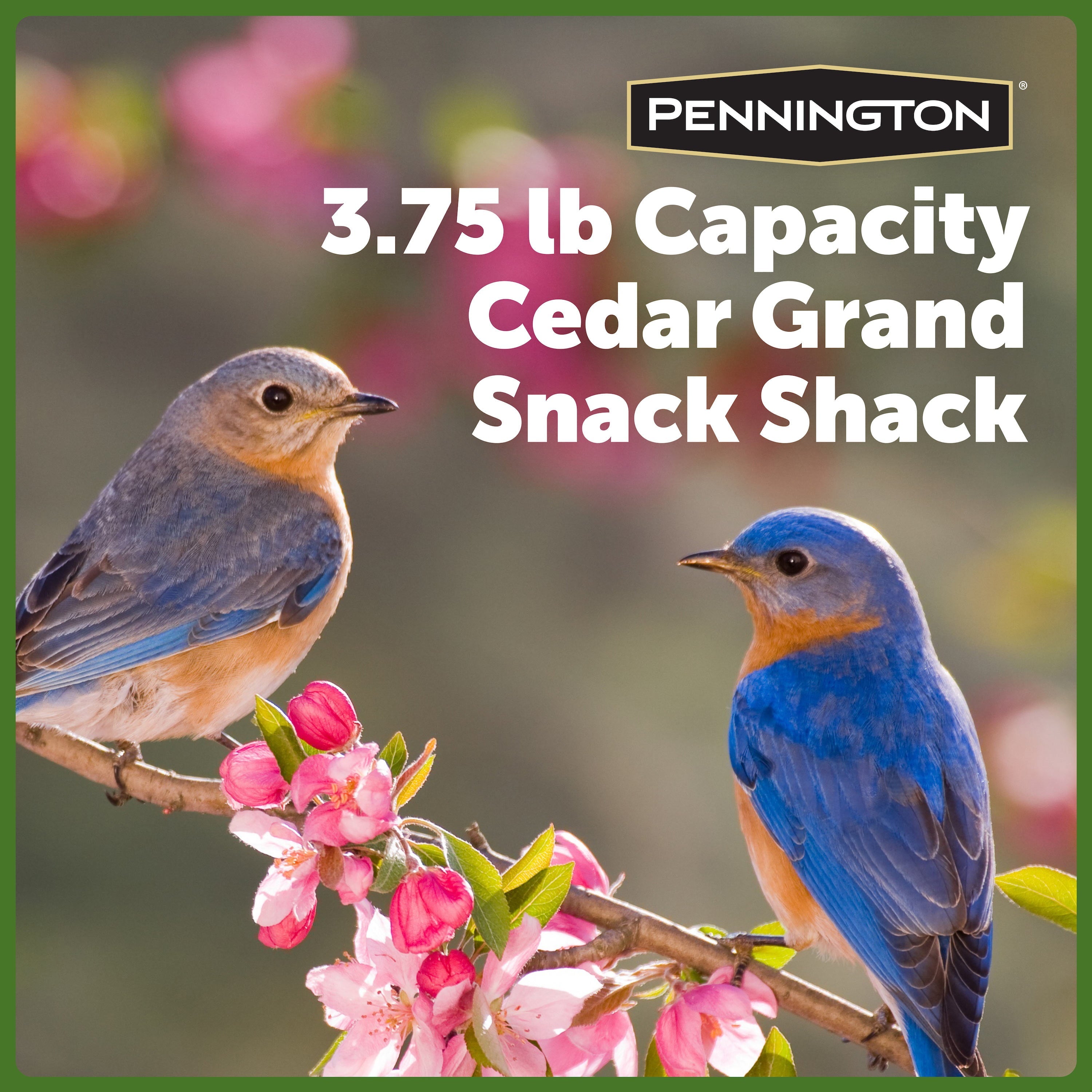 Pennington Red Cedar Snack Shack Wild Bird Feeder, 3.75 lb. Capacity