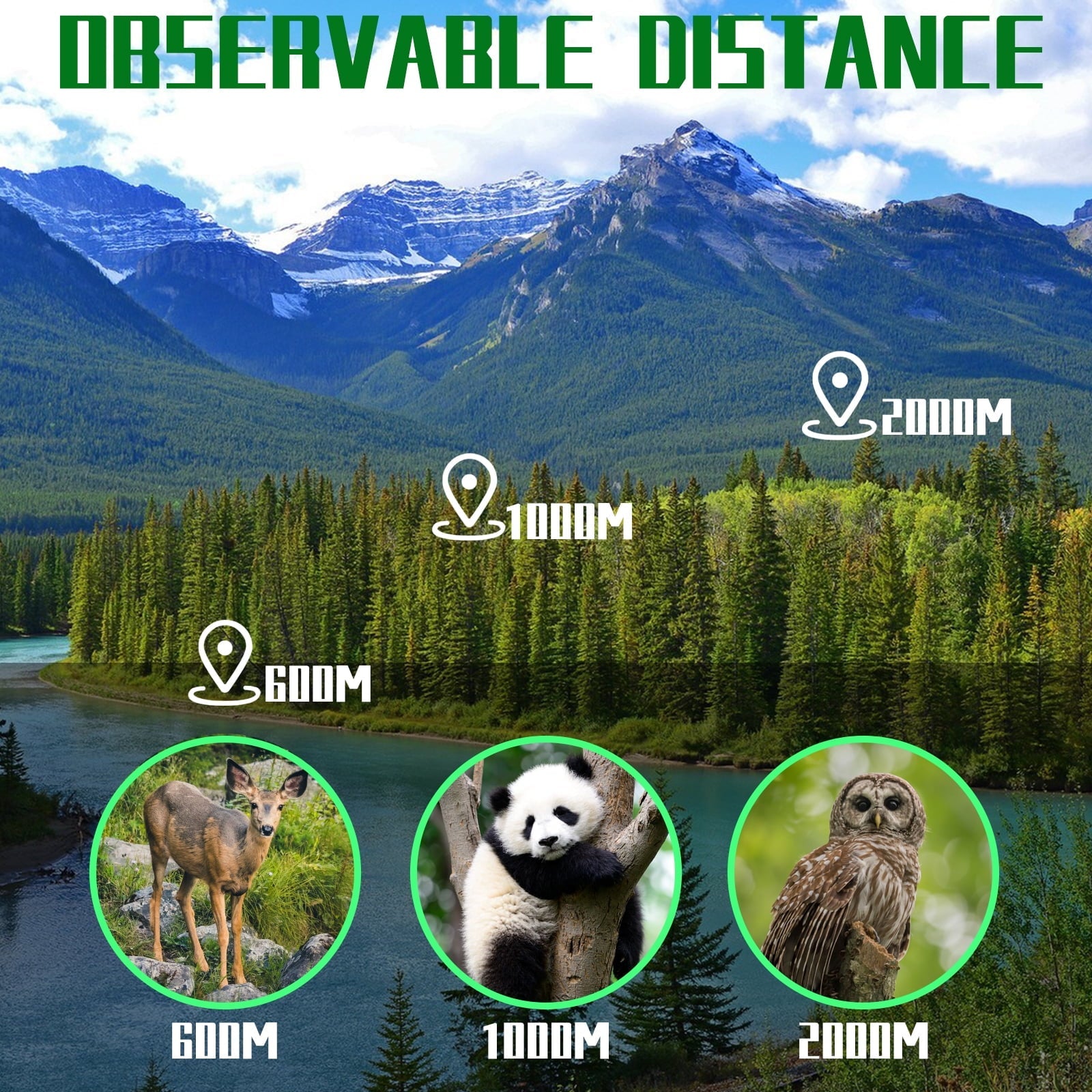 VAVSEA Binoculars, 20x50 Binoculars for Adults, Compact HD High Powered Binoculars with Low Night Vision 28mm Large Field Binoculars with BAK4 Prism FMC Lens for Hunting Bird Watching Sports