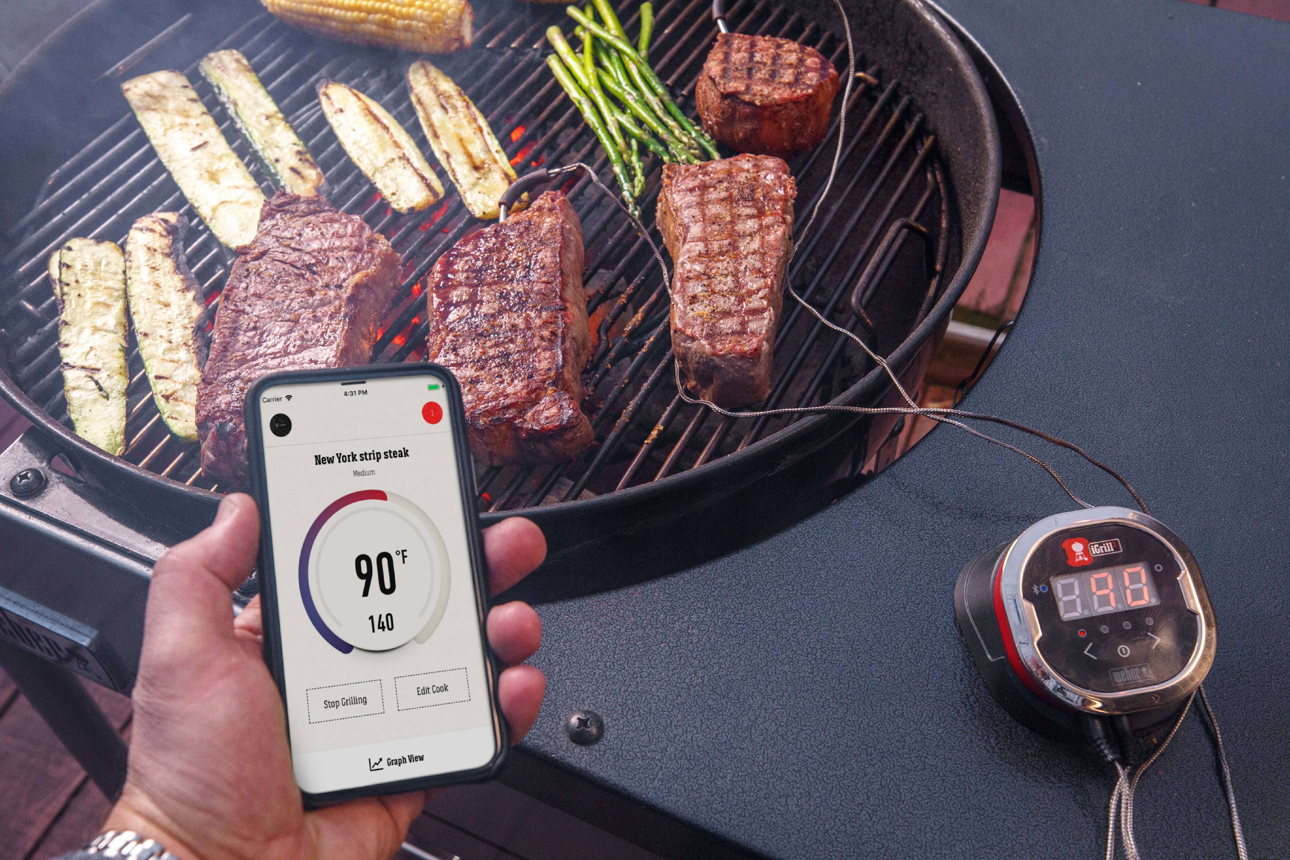 Weber iGrill 2 Smart Grilling Hub