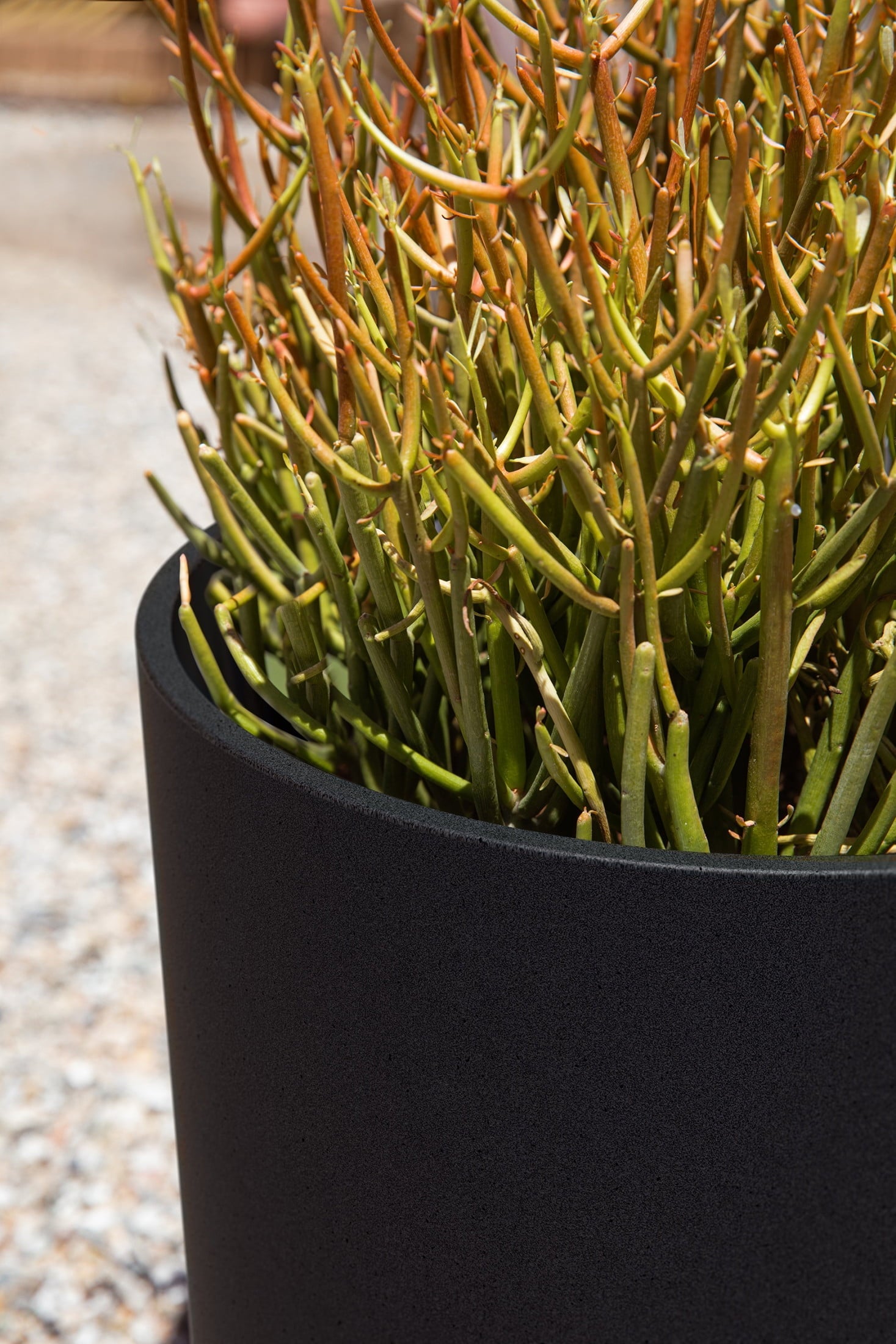 Veradek Mason Series Kona 10