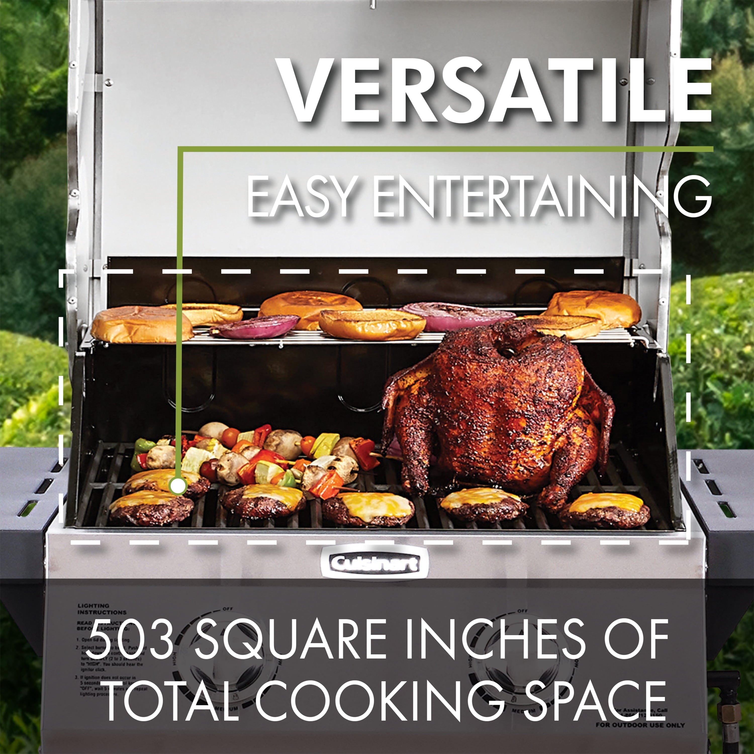 Two Burner Dual Fuel Gas Grill