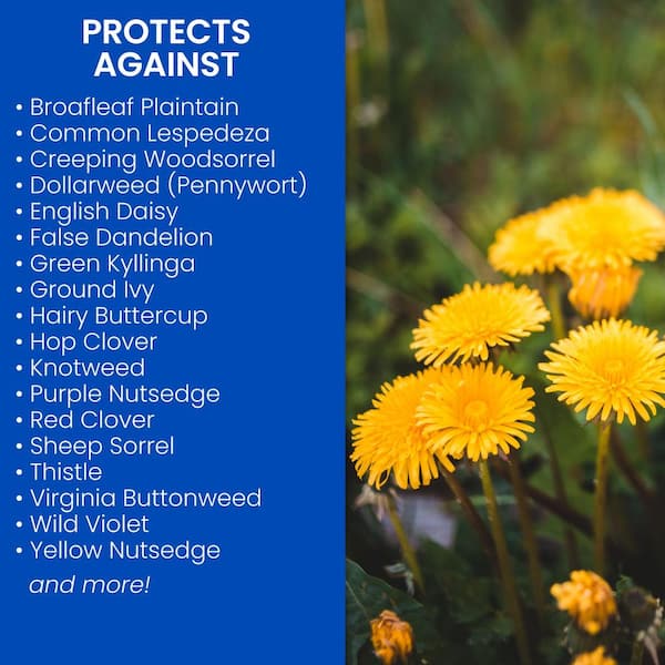 20 lbs. 3-In-1 Weed and Feed for Southern Lawns