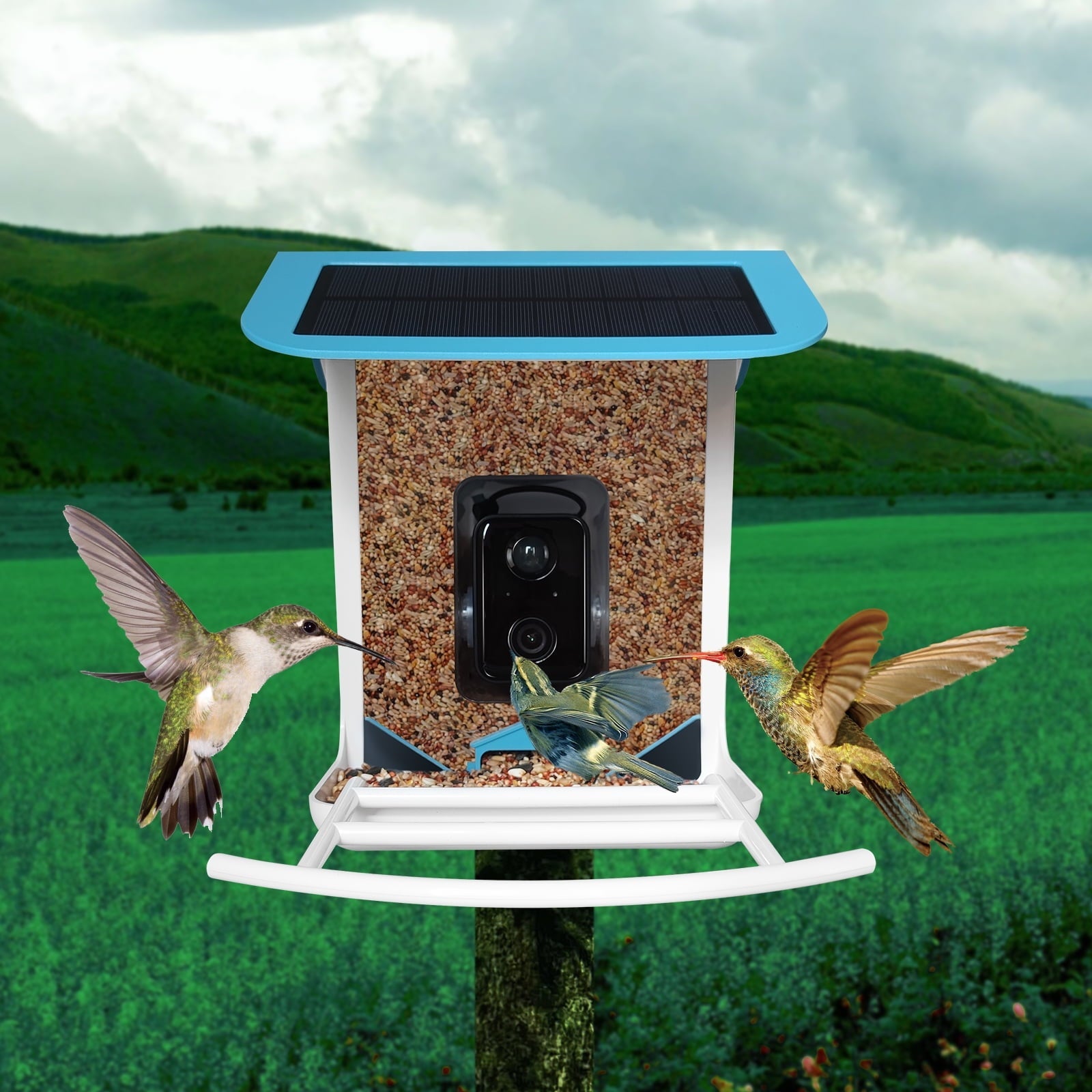 Bird Feeder with Camera,YBLOC Bird House,AI Smart Bird Feeder,Camera 1080P HD Video,AI Identify Bird,Wifi ,Blue