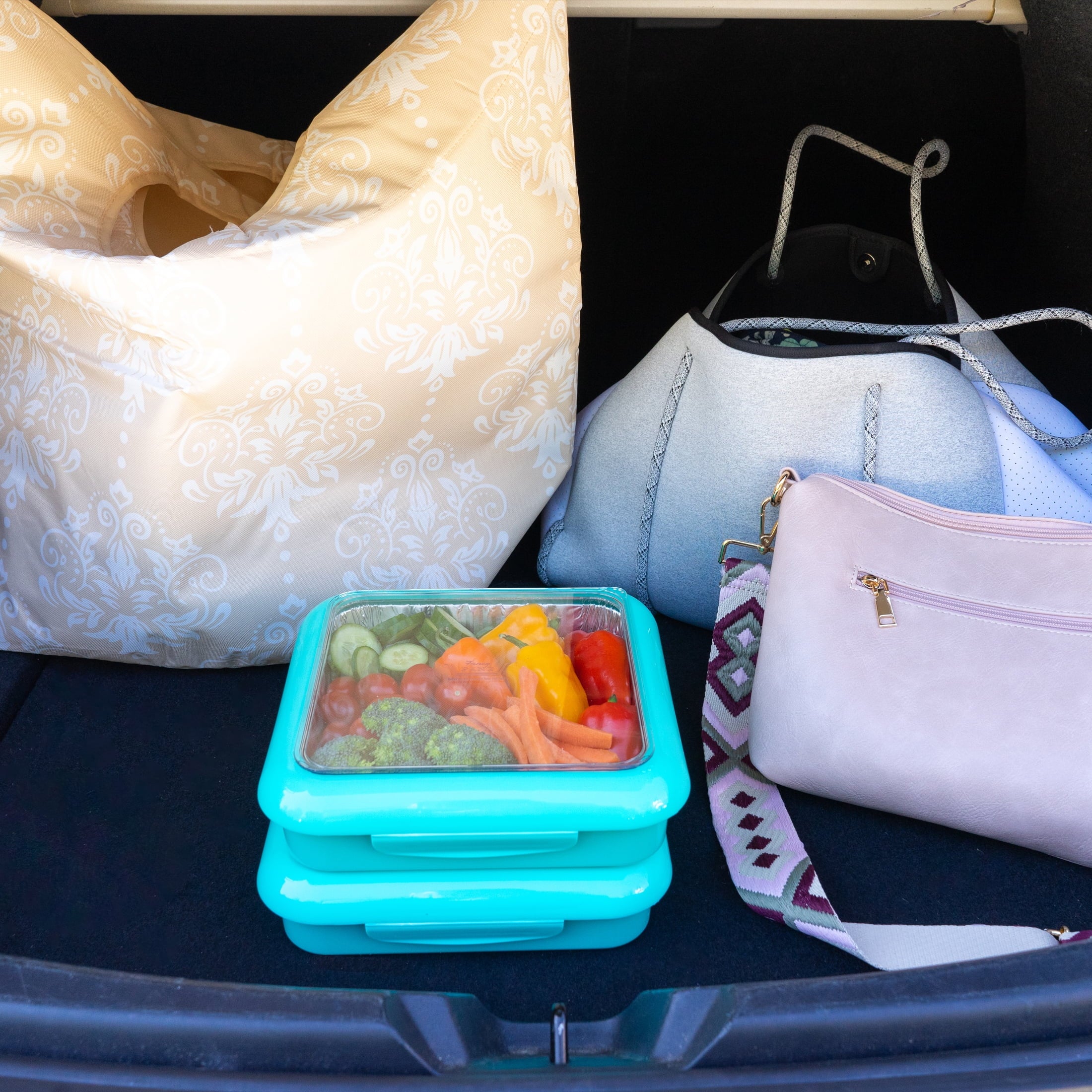 Fancy Panz Plastic 8