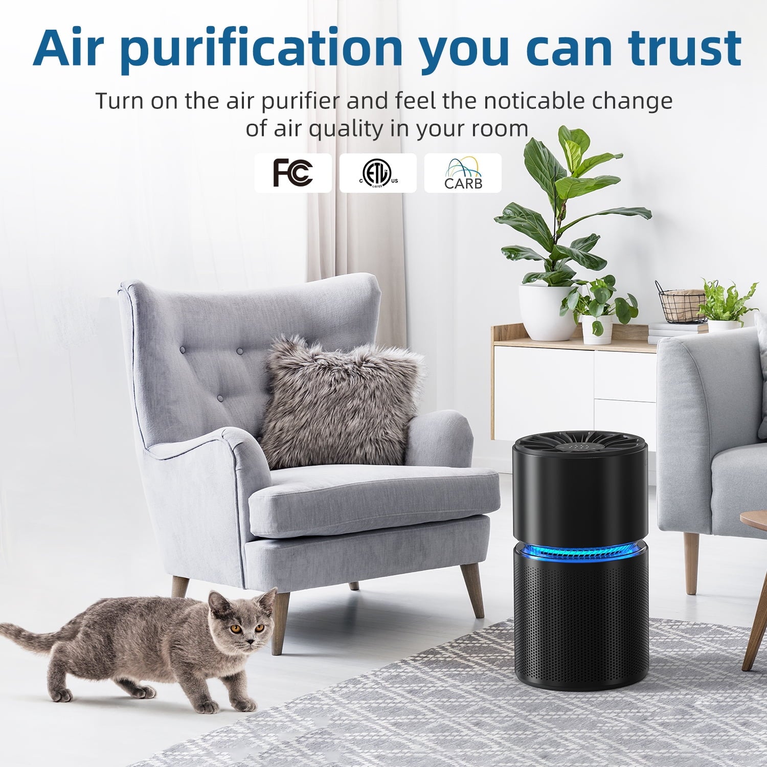 BREEZOME HEPA Air Purifier with Light Extra Large Room (620 Sq. Ft), Black