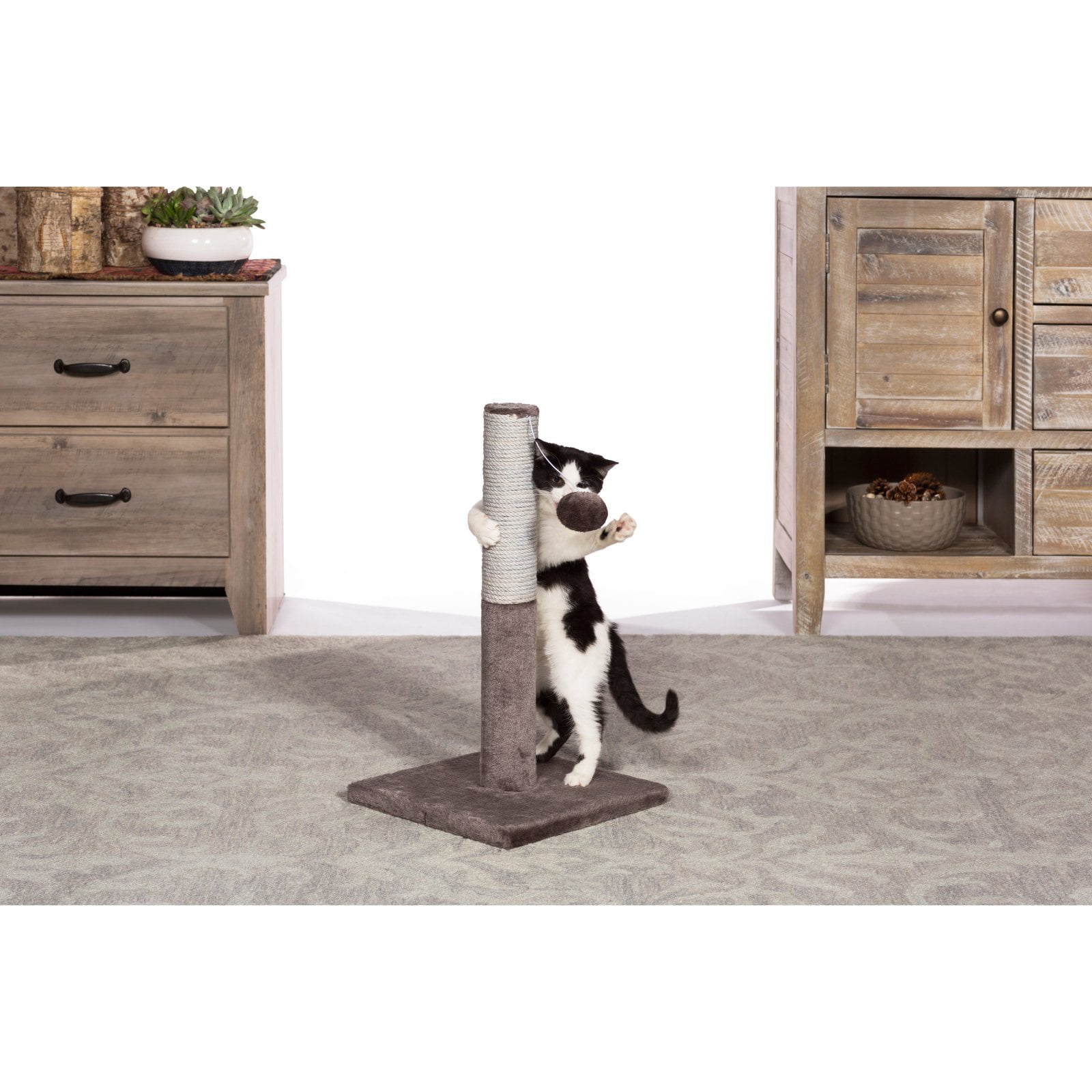 Prevue Pet Products Kitty Power Paws Play & Scratch 7151