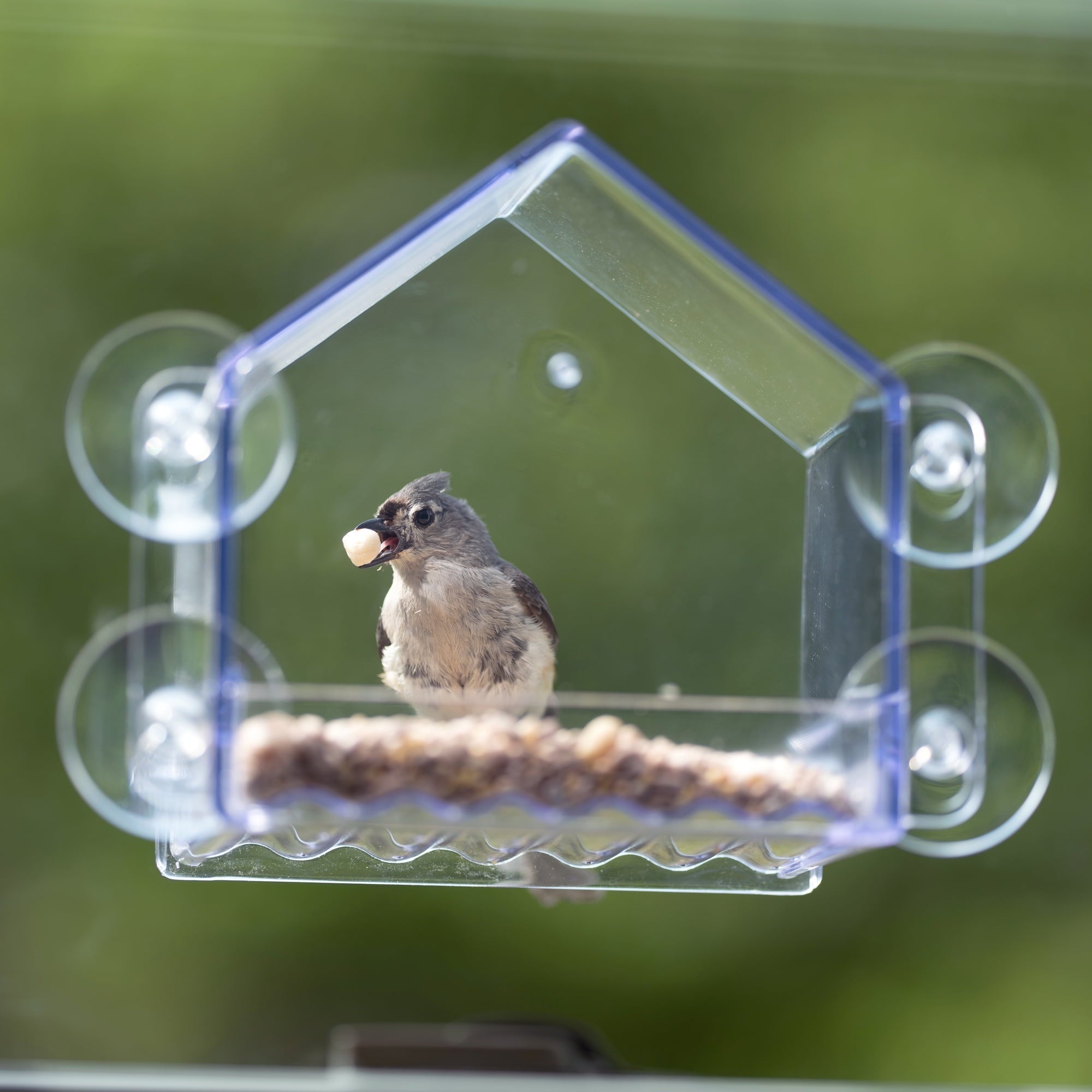 Wild Wings Clear View Plastic Window Bird Feeder 2 Cup Capacity 6.5