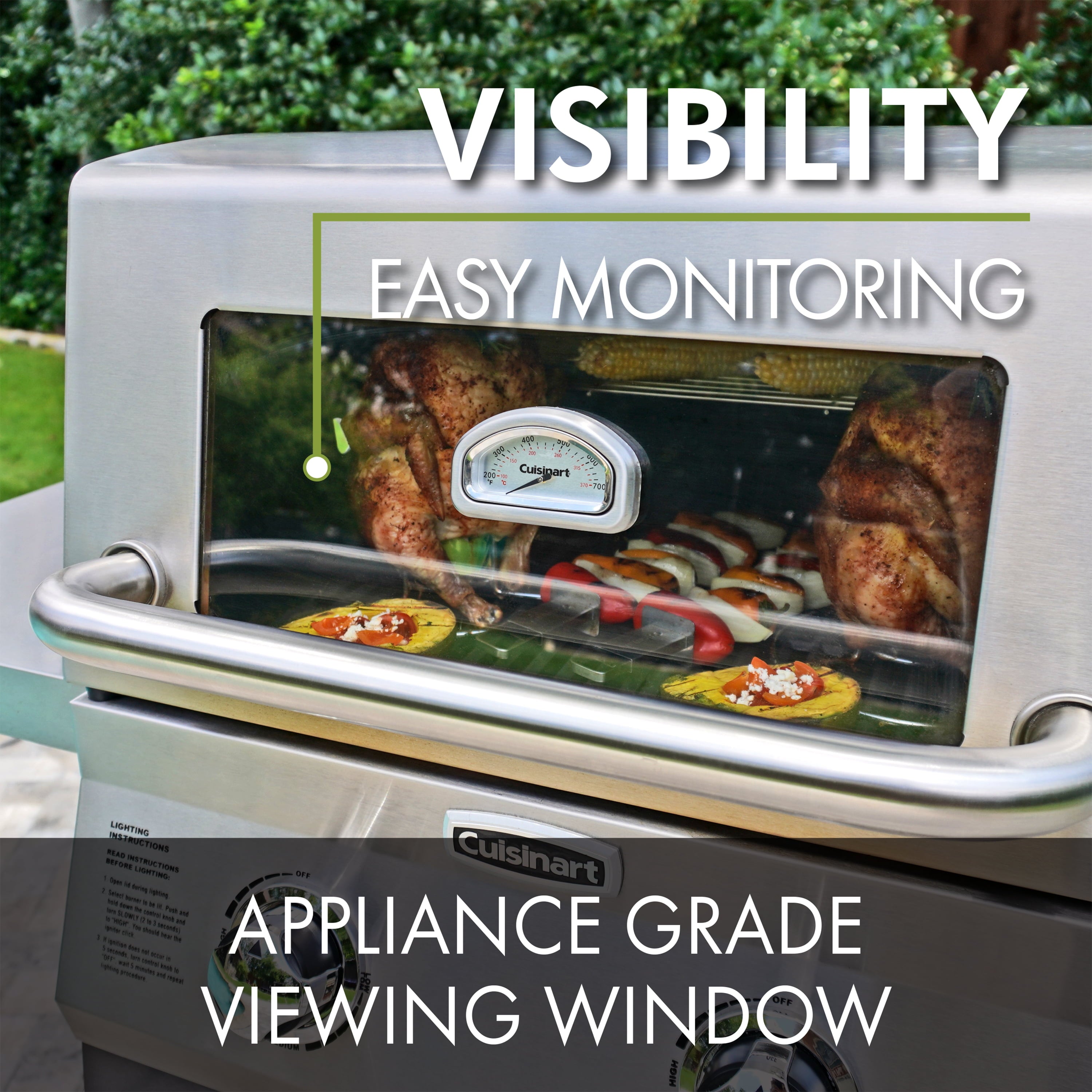 Two Burner Dual Fuel Gas Grill