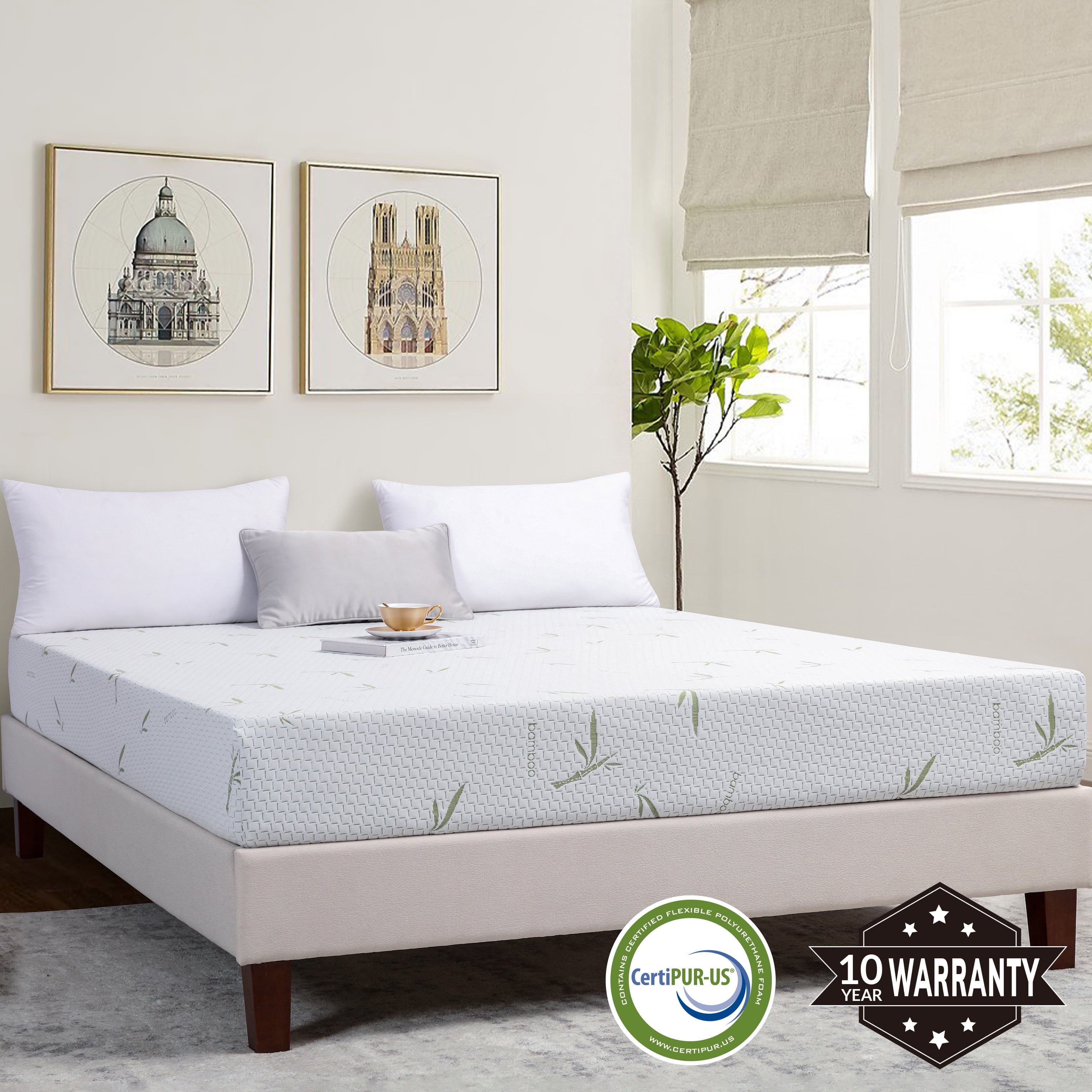 Green Tea Gel Memory Foam Mattress In a Box, Twin Size