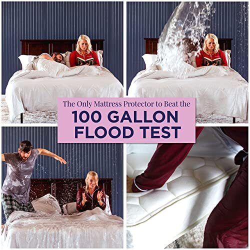 Zippered Mattress Protector Queen - Waterproof Cover Stops Dust Mite Bed Bug ...