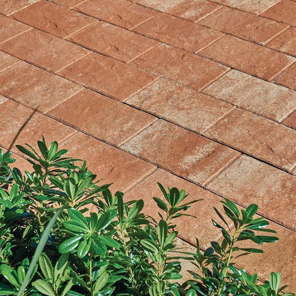 Taverna 11.81 in. L x7.87 in. Wx 1.97 in. H Rectangle Milsap Blend Concrete Paver (192-Piece/124 sq. ft./Pallet)