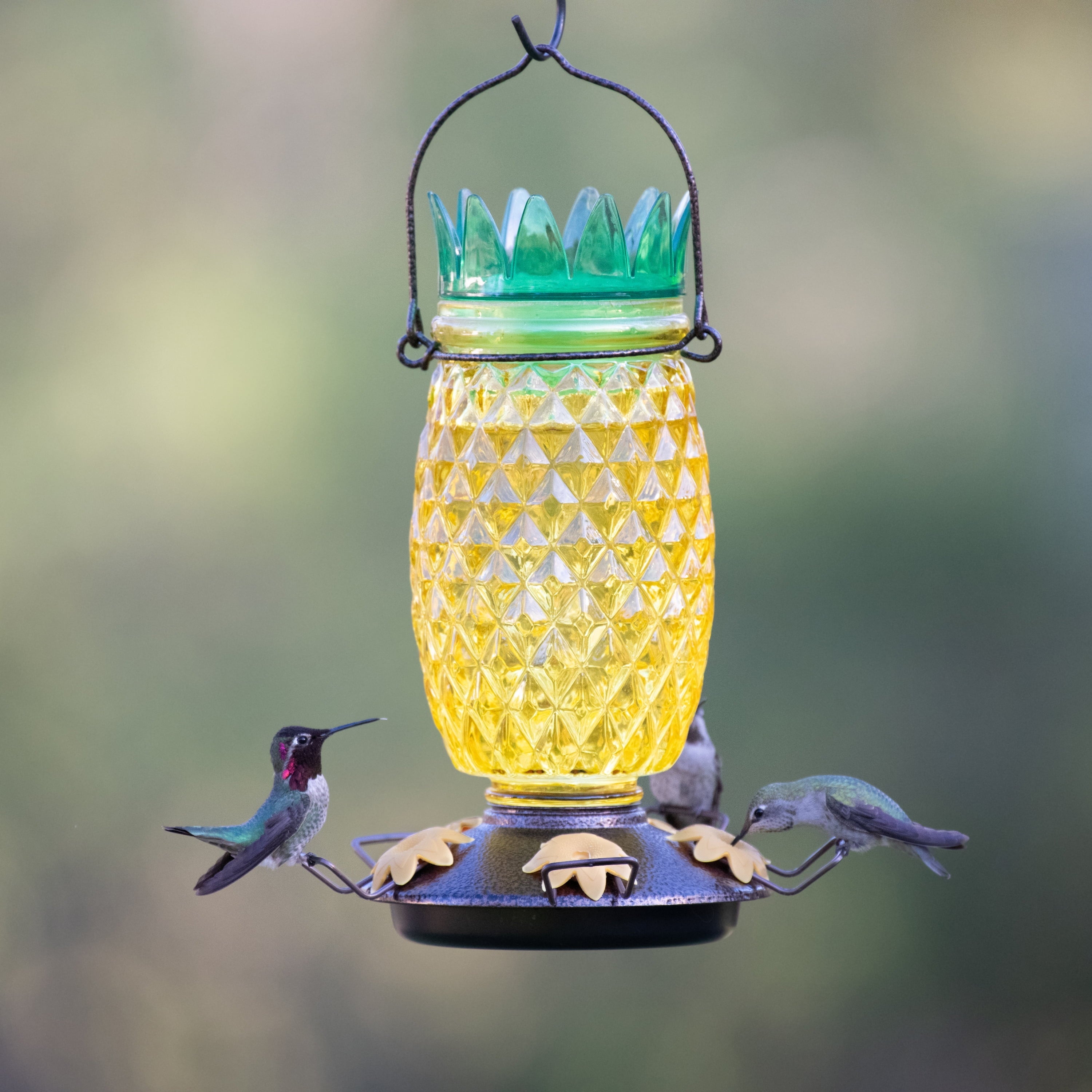 Perky-Pet Yellow Pineapple Top-Fill Glass Hummingbird Feeder – 28 oz