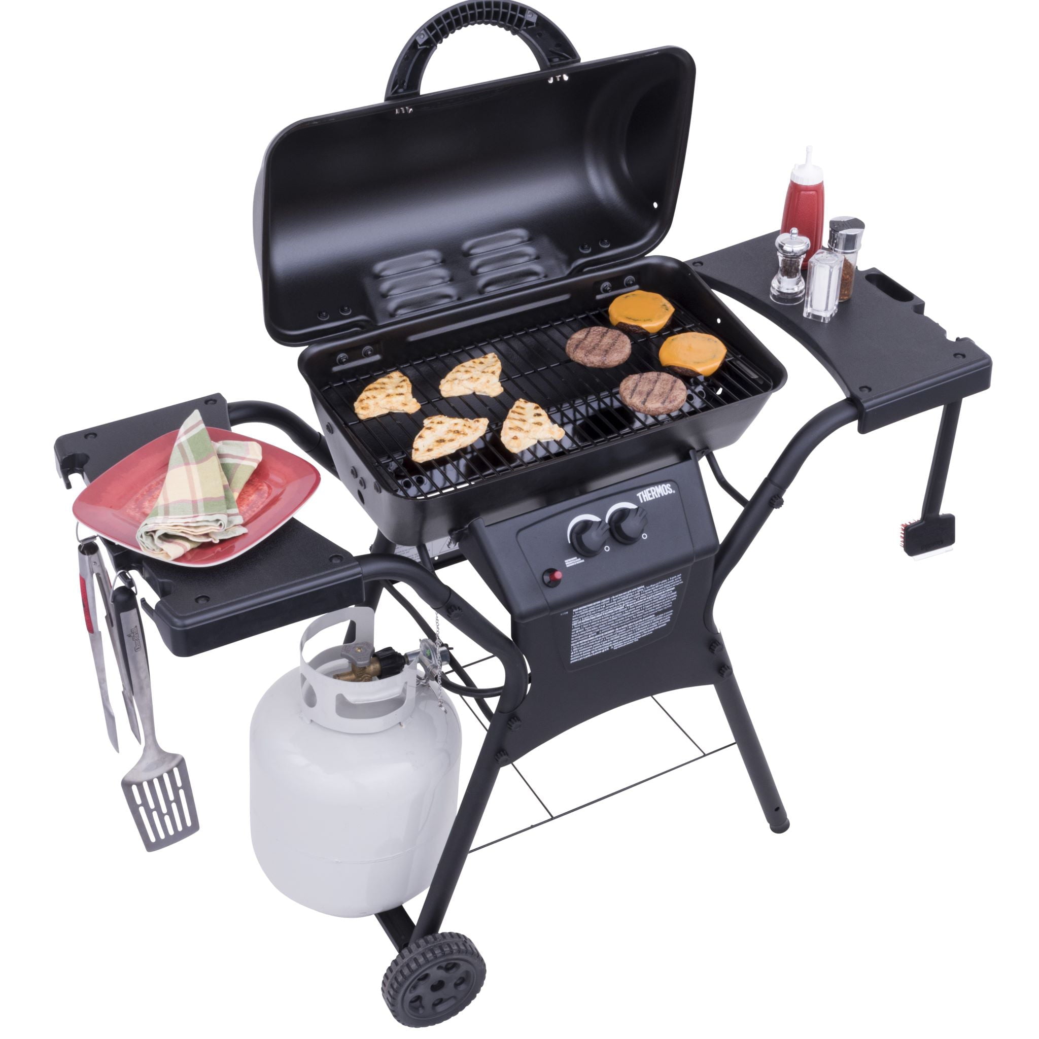 2-Burner Propane Gas Grill