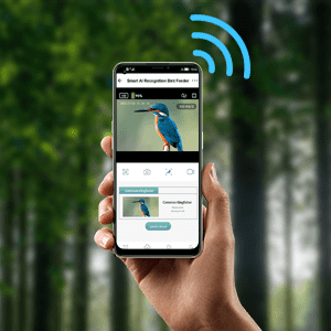 Bird Feeder with Camera,YBLOC Bird House,AI Smart Bird Feeder,Camera 1080P HD Video,AI Identify Bird,Wifi ,Blue