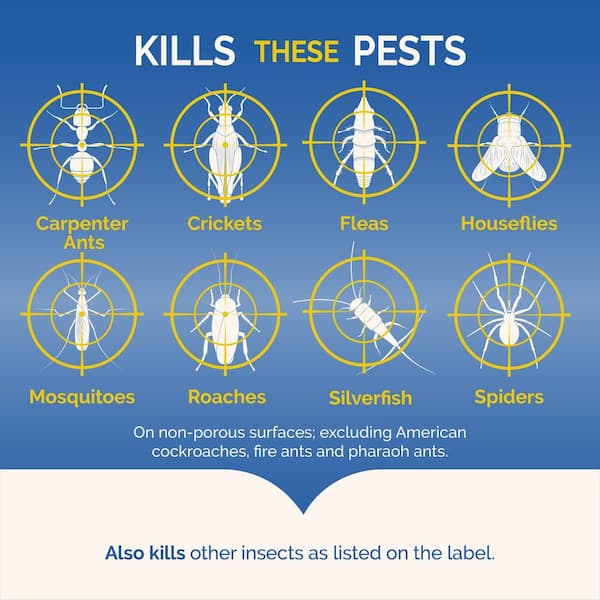 No-Mess Insect Fogger Aerosol with Odor Neutralizer (3-Count)