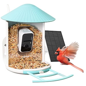 Bird Feeder with Camera, Netvue Birdfy Smart Bird Watching Camera with Solar Panel, Blue(Lite+Solar)