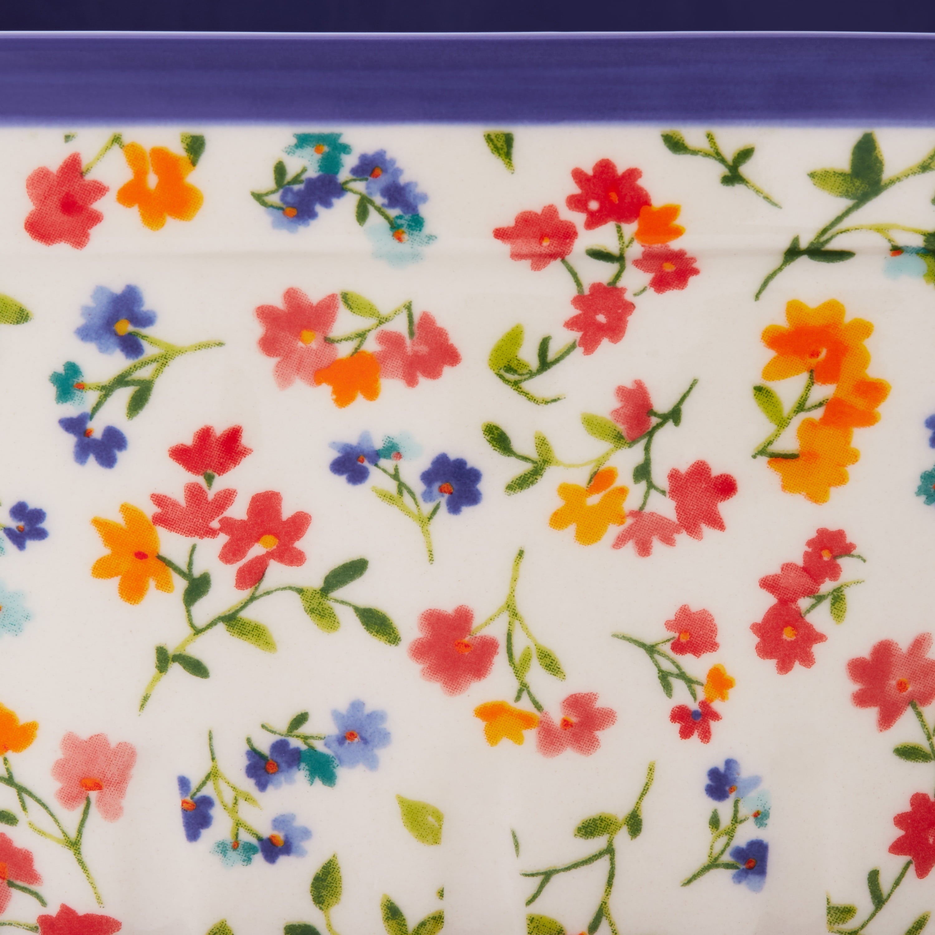 The Pioneer Woman Wild Flower Toss 6