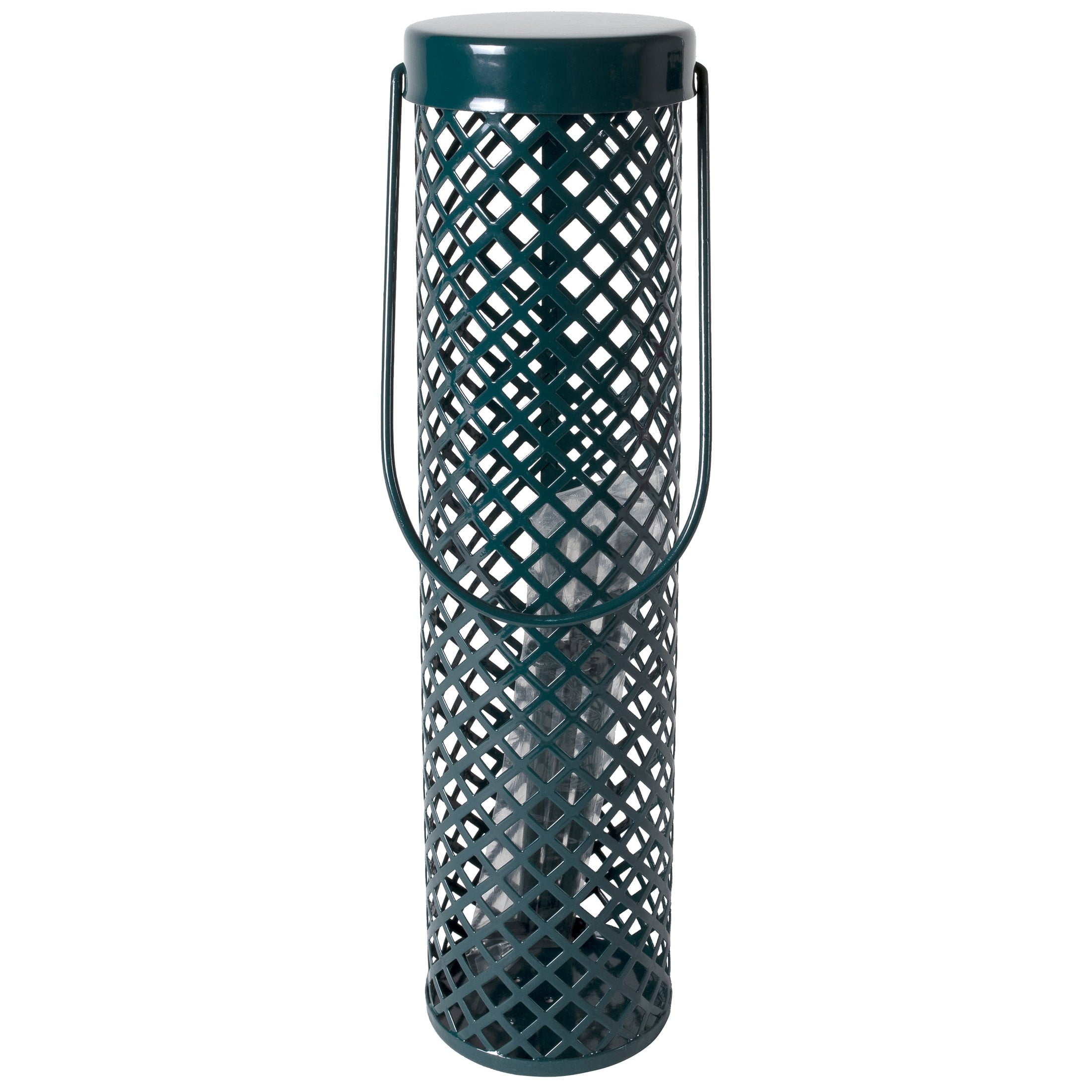 C&S Products Green Wire Suet Nugget or Ball Wild Bird Suet Feeder