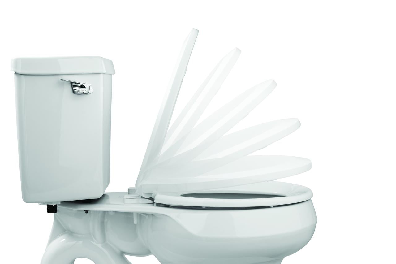 Mainstays Elongated Plastic Toilet Seat with Soft Close and Easy off in Daisy White