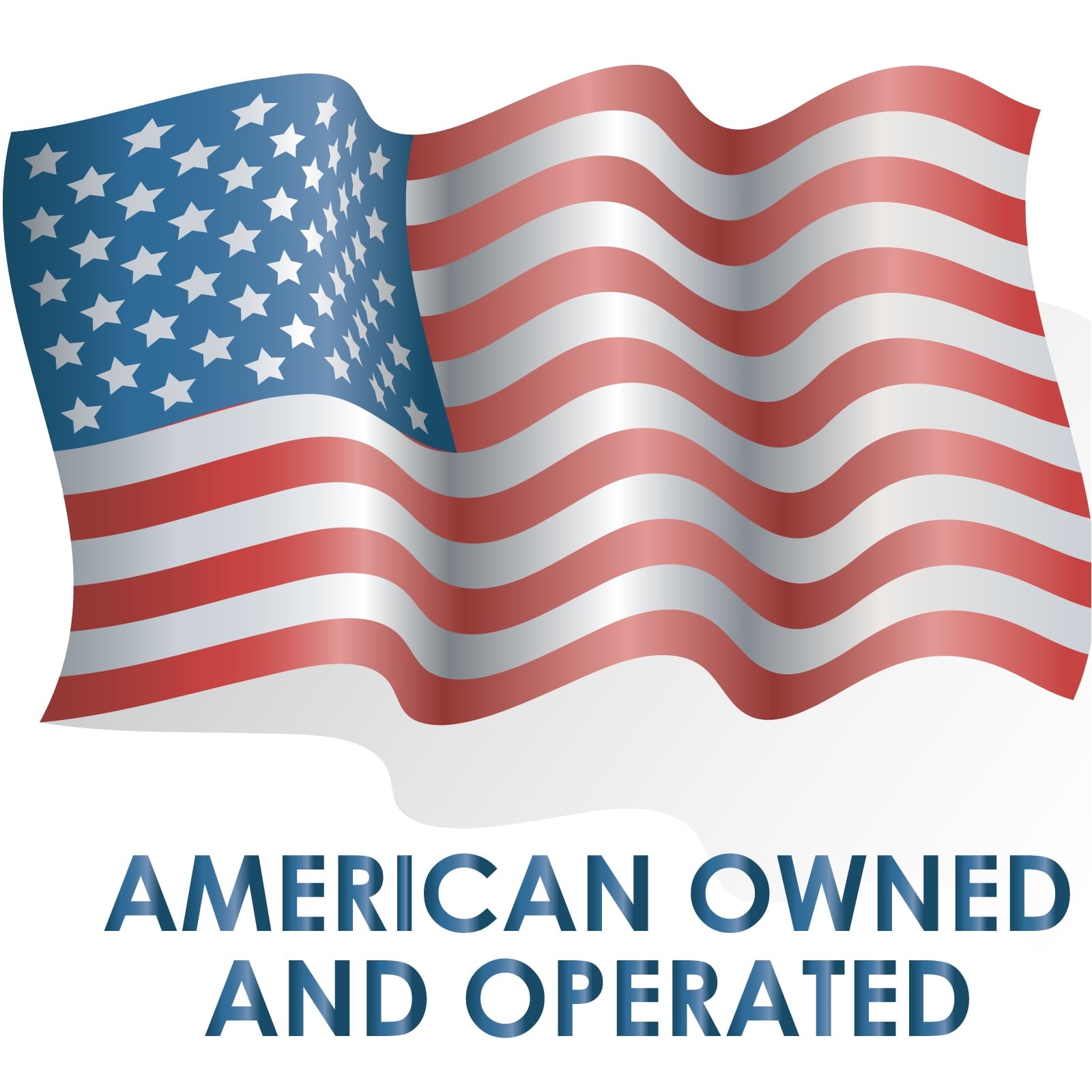 Replacement Pair of Snow Plow Blade Skid Shoes 5/8