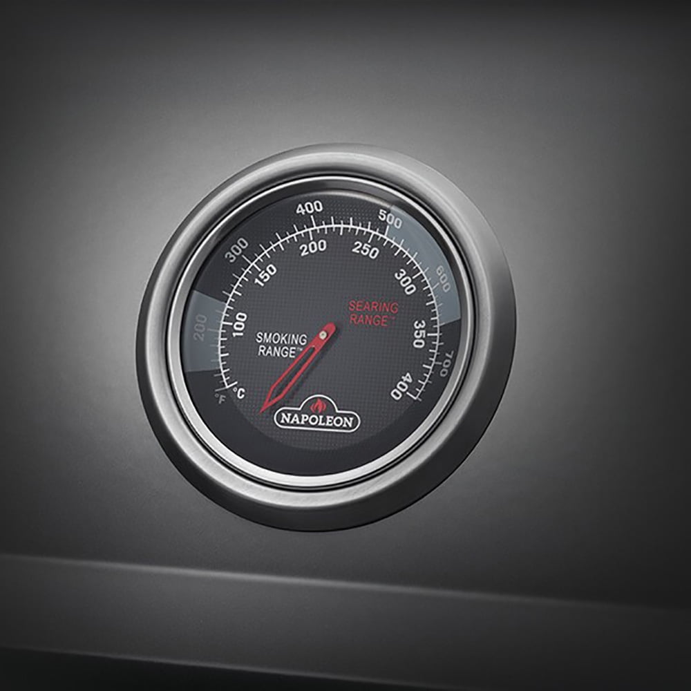 Napoleon Freestyle 365 Gas Grill, Graphite Grey