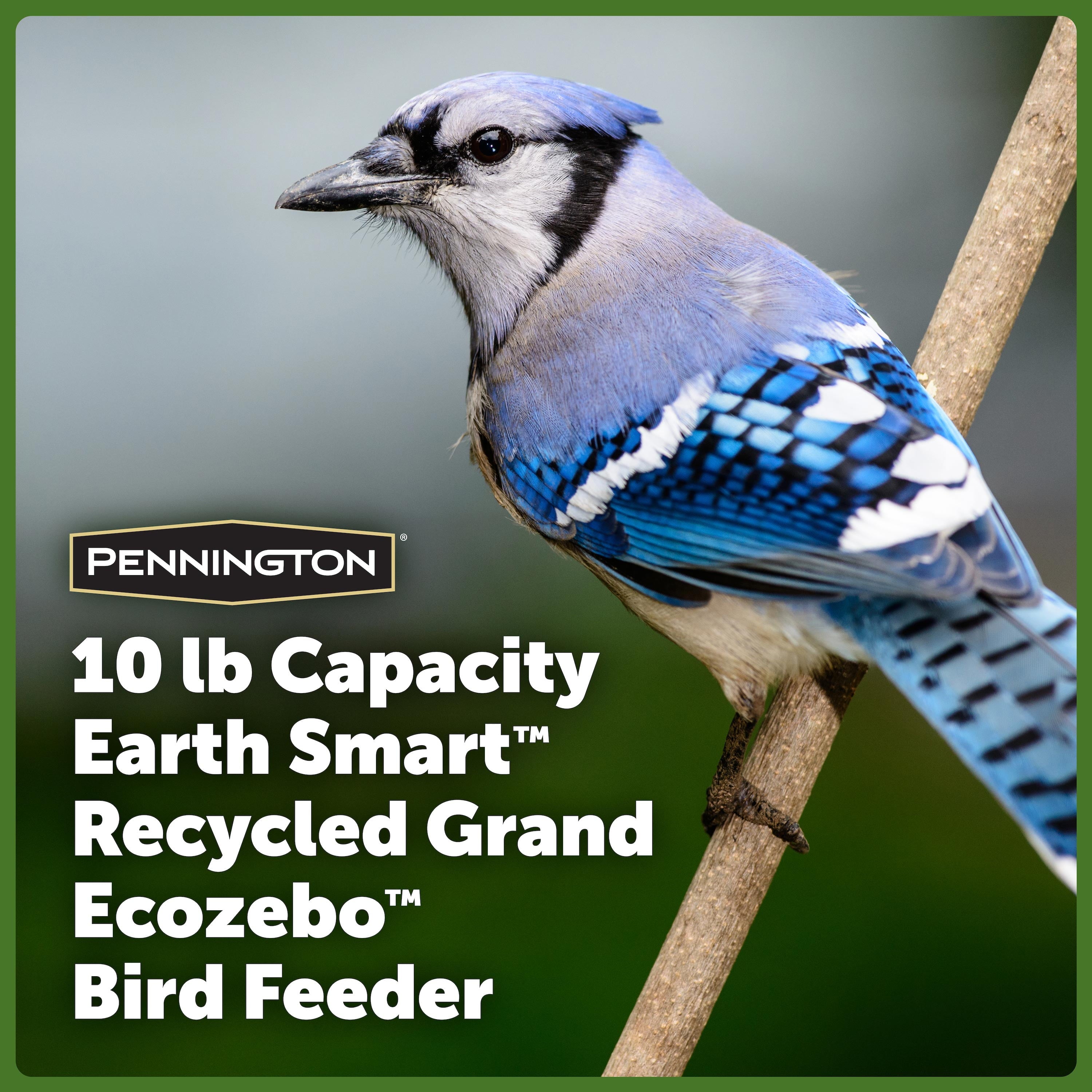 Pennington Red Resin Grand Ecozebo Wild Bird Feeder, 10 lb. Capacity, 1 Pack