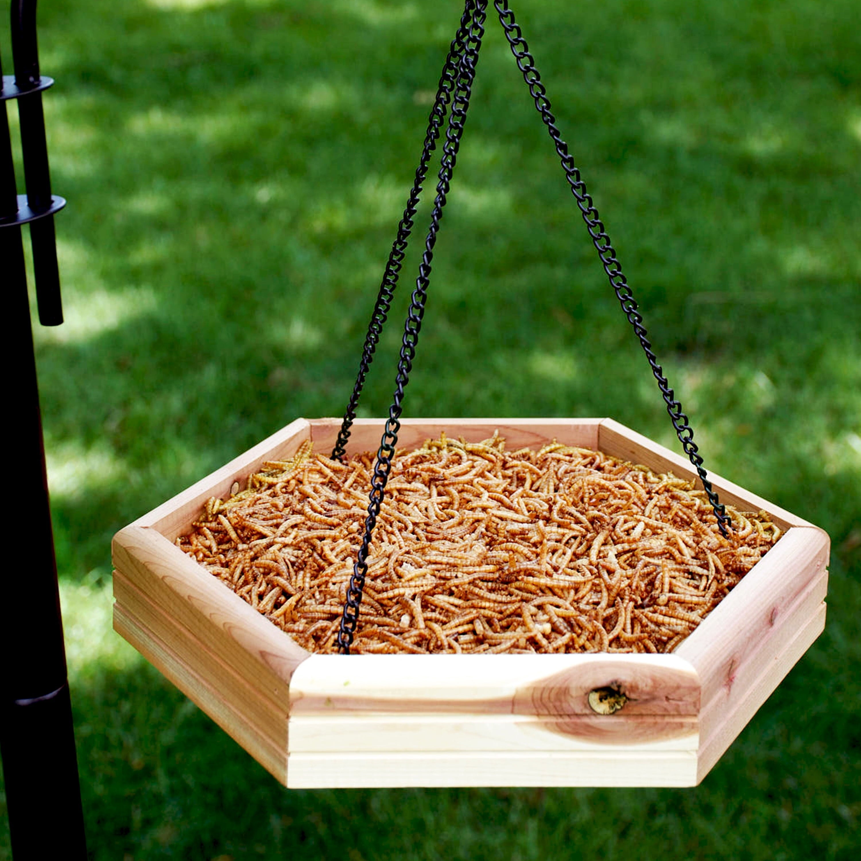 Pennington Red Cedar 2 in 1 Wild Bird Bath and Wild Bird Feeder, 4 lb. Capacity
